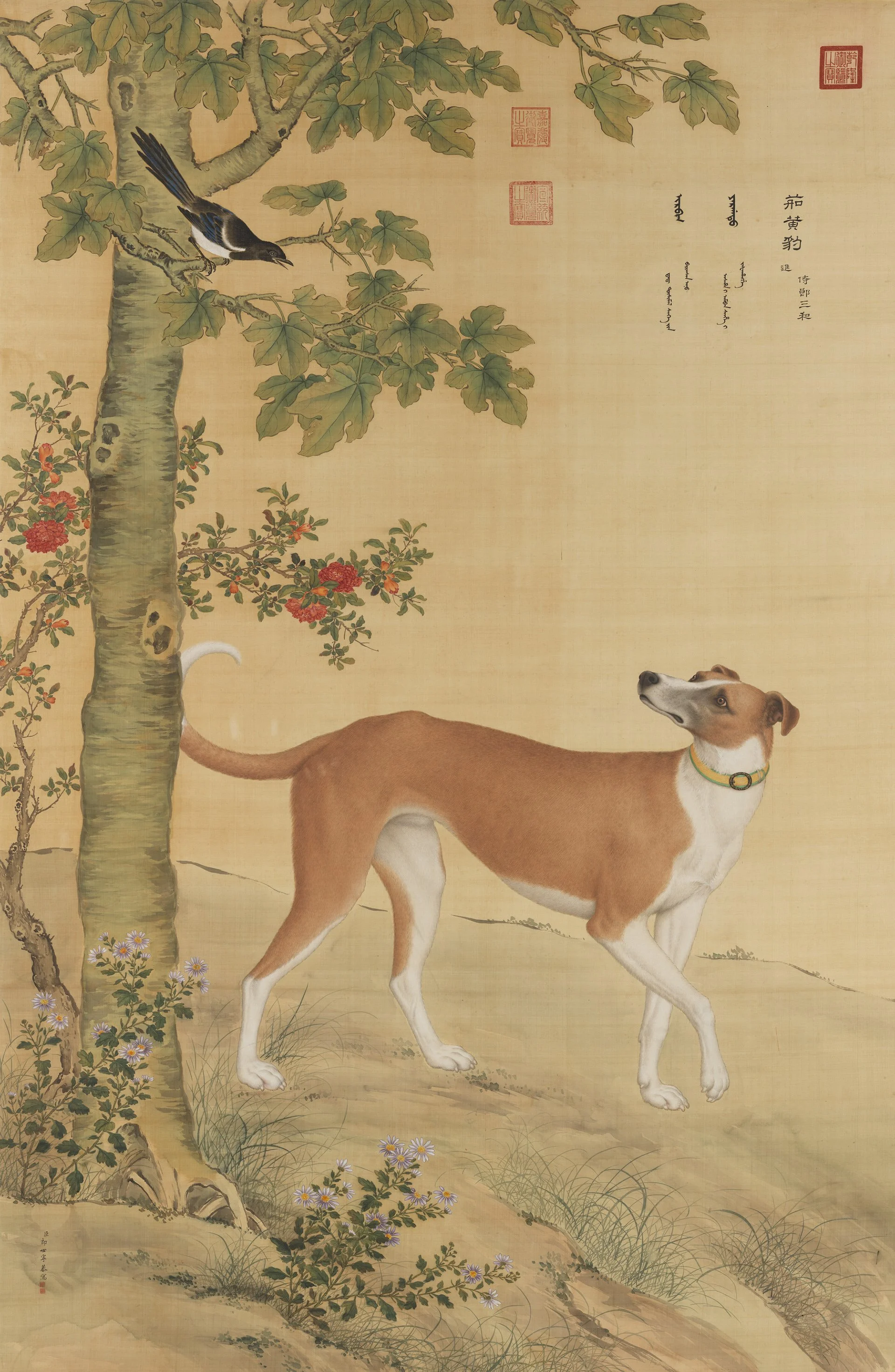 茹黃豹