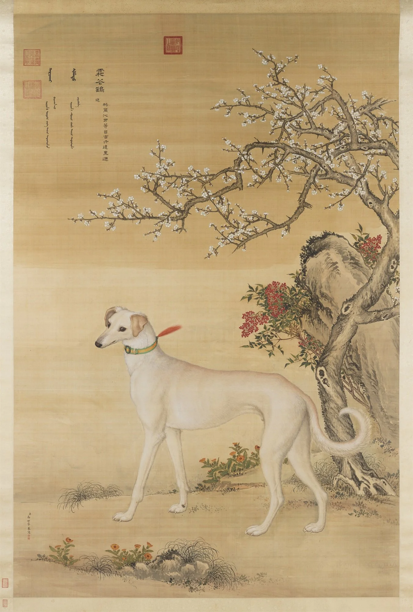 霜花鹞