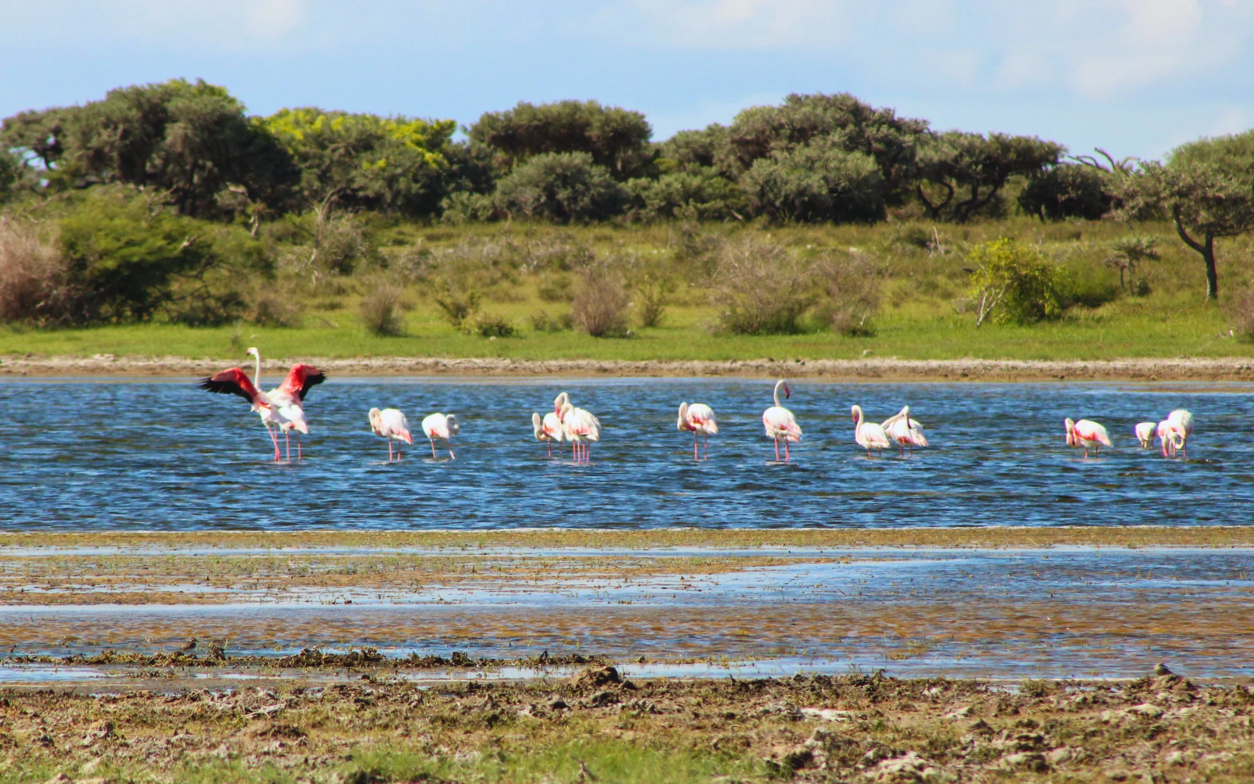 Beyond Baobabs and Lemurs: The Hidden Oases of Southwestern Madagascar