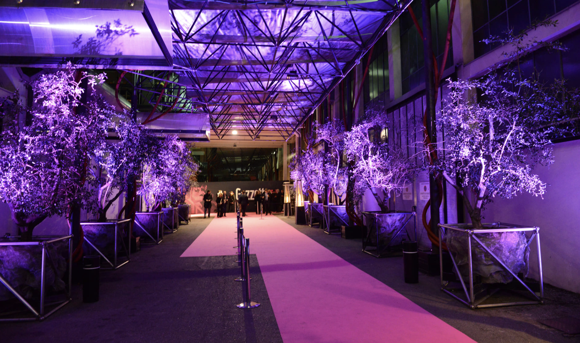 Ingresso di un evento con alberi decorativi illuminati con luci viola e un tappeto rosso, con persone in abbigliamento elegante sullo sfondo.