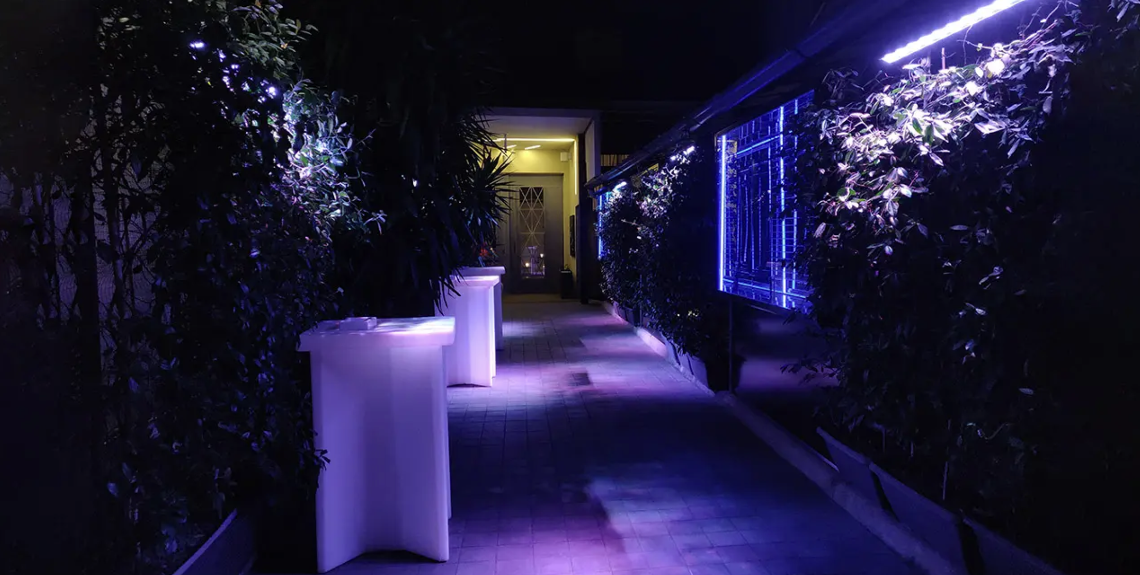 Corridoia di un locale notturno con luci LED viola e blu, piante e colonne di luce