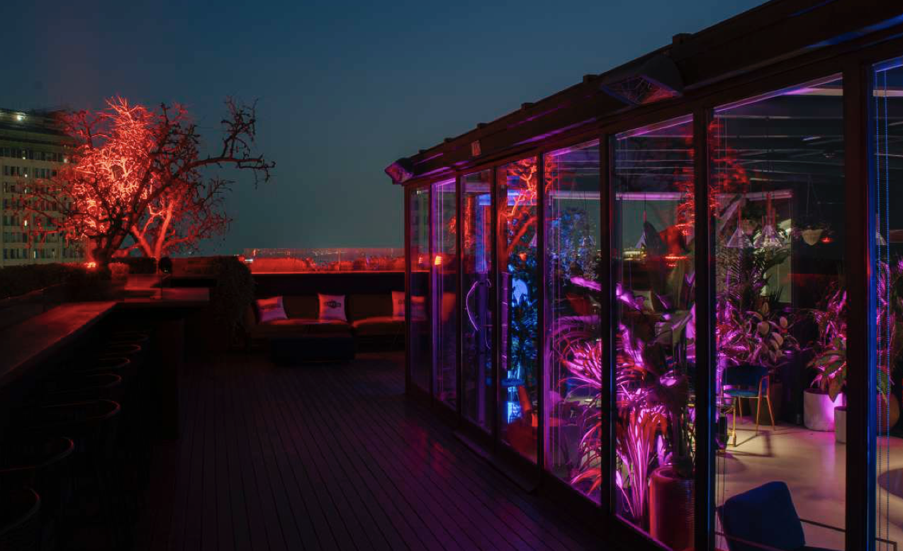 Terrazza con luci LED colorate, piante e una struttura in vetro, notte.