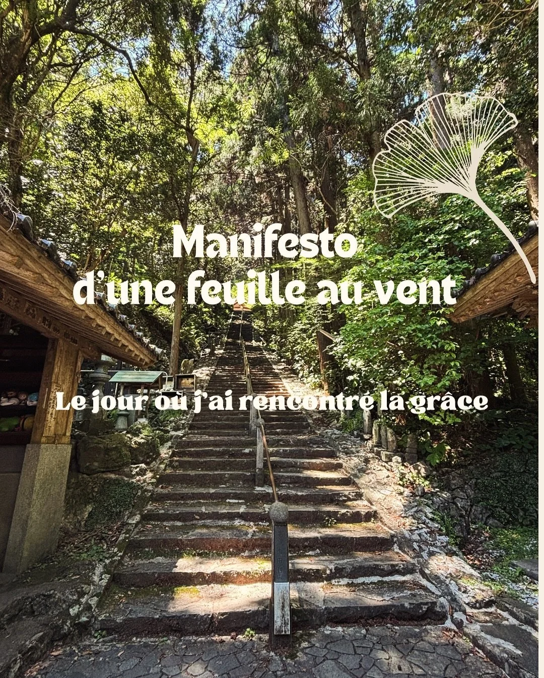 🍃 1.
La vie est mouvement.
Nous ne sommes pas faits pour rester fig&eacute;s dans des r&ocirc;les, des identit&eacute;s ou des croyances.
Comme une feuille port&eacute;e par le vent, nous sommes invit&eacute;s &agrave; danser avec l&rsquo;existence.