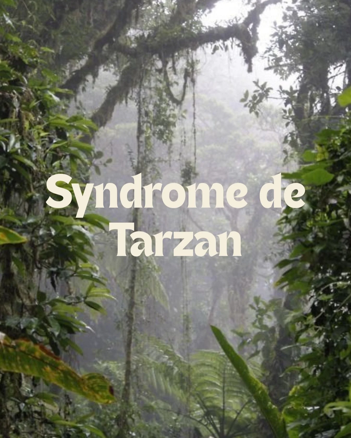 Syndrome de Tarzan

Train de 17h32. Une inconnue en face de moi.
Le regard triste, perdu dans le paysage&hellip; puis qui croise le mien.
Un sourire. Invitation silencieuse accept&eacute;e.

&mdash; &ldquo;Premi&egrave;re fois c&eacute;libataire &agr