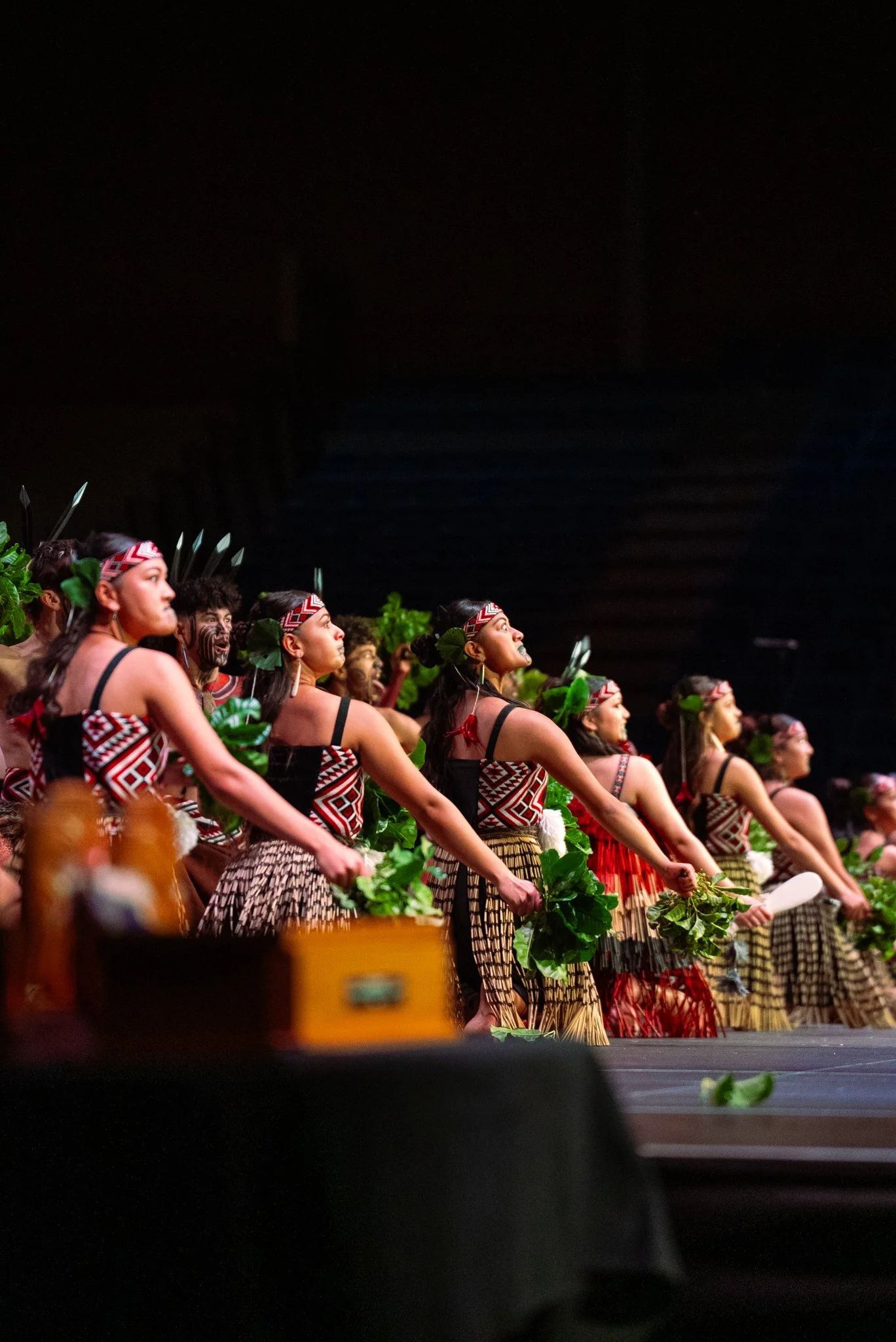 ManaKapaHaka-41.jpg