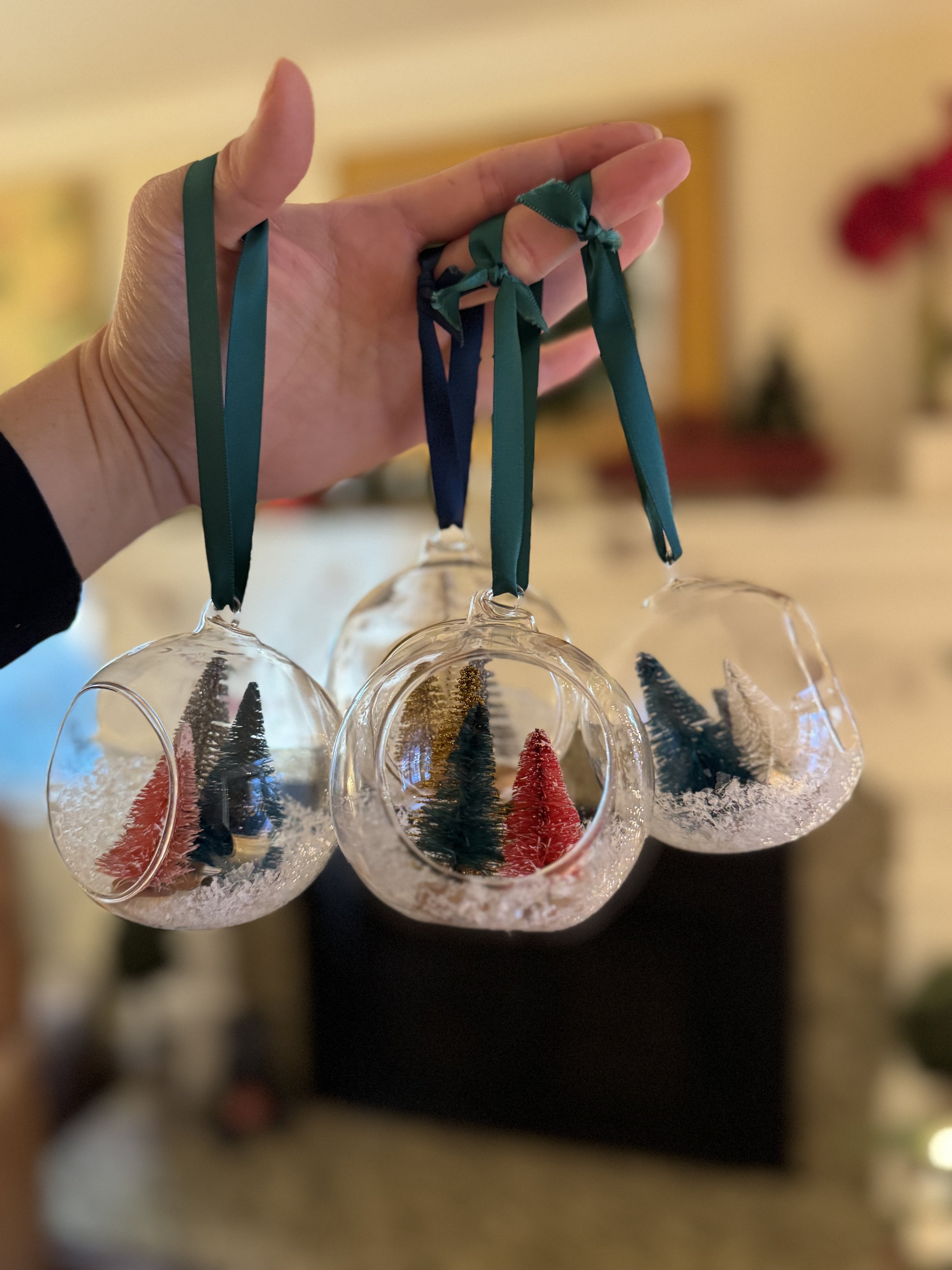 Holiday Ornament Making Workshop (Dec 6)