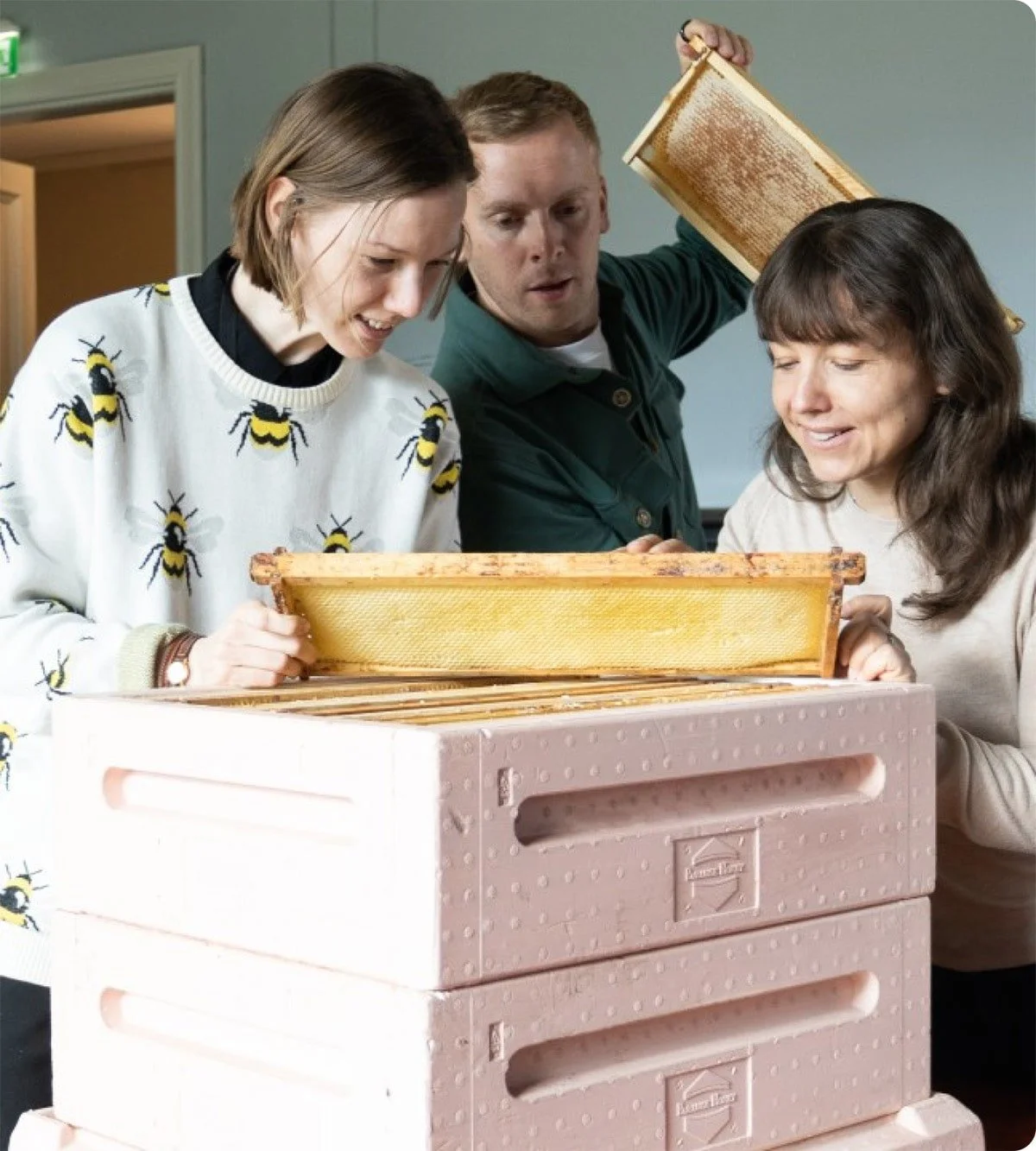 Three people standing around a pink insulated beehive, with one person holding up a honeycomb frame for the others to see.