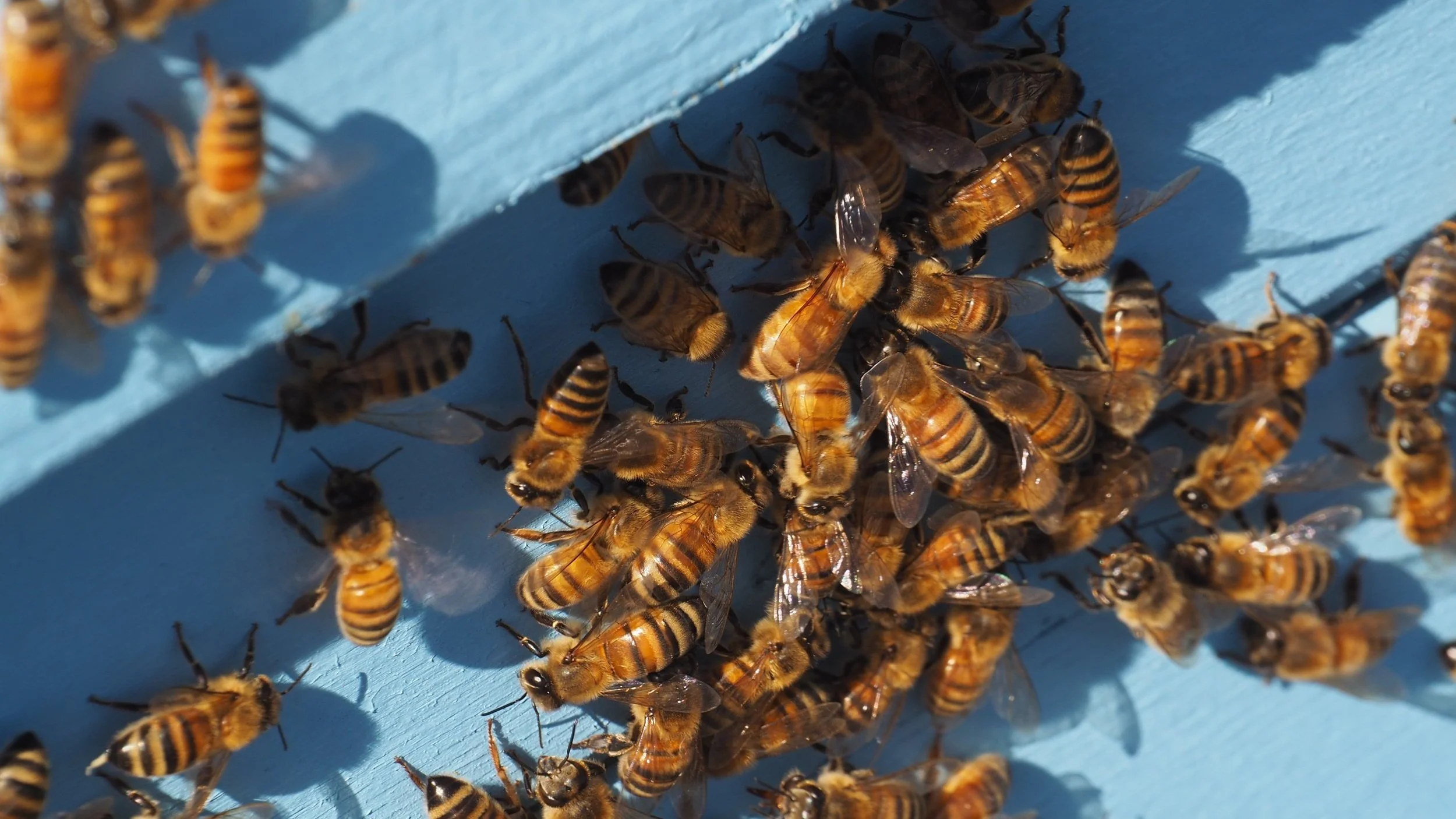 Keilaniemi_Hives+_%C2%A9sssimone+%289%29.jpg