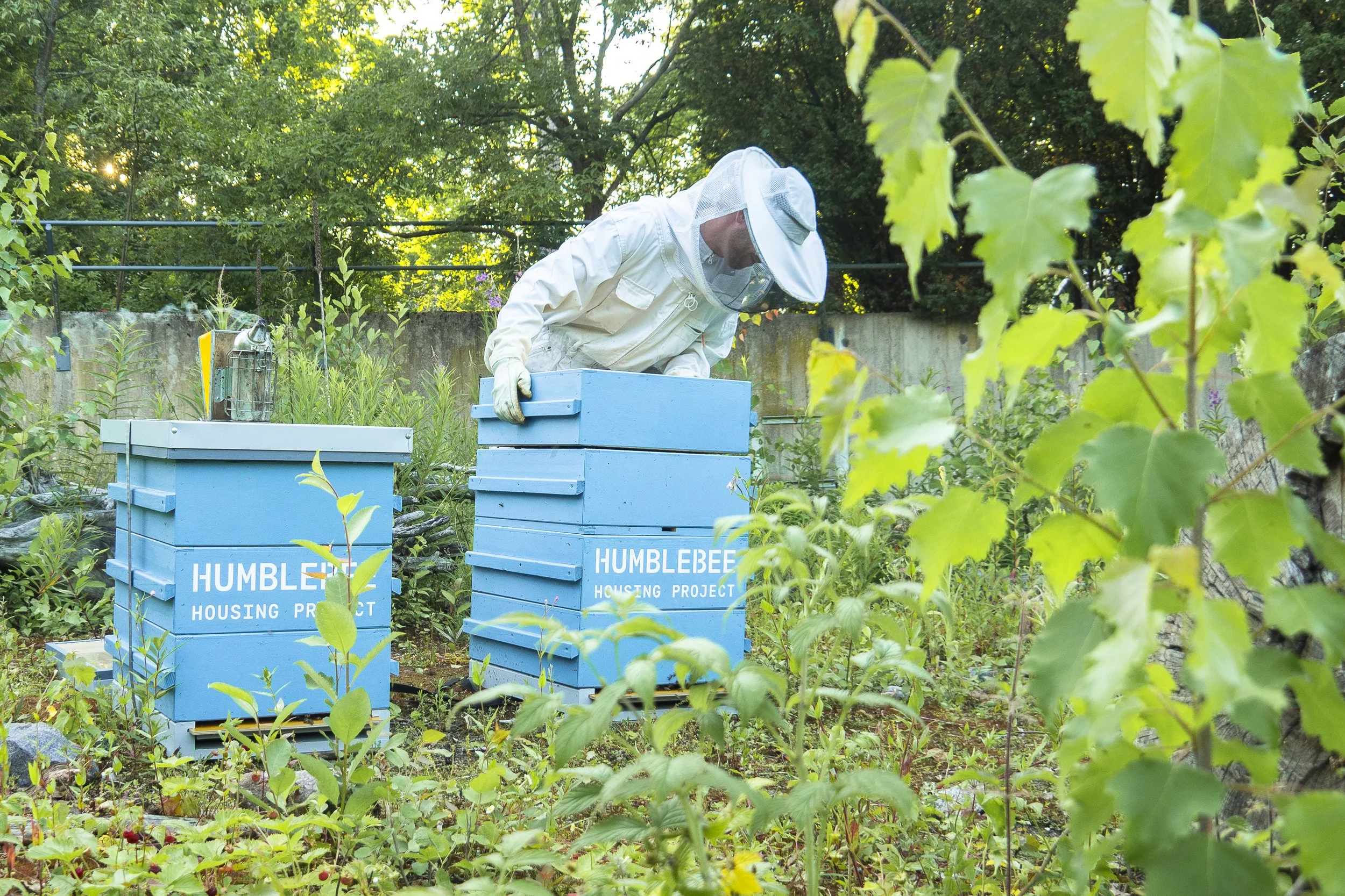Korkeasaari_Hives_2025 ©Sssimone Gaglione_11_Original.jpeg