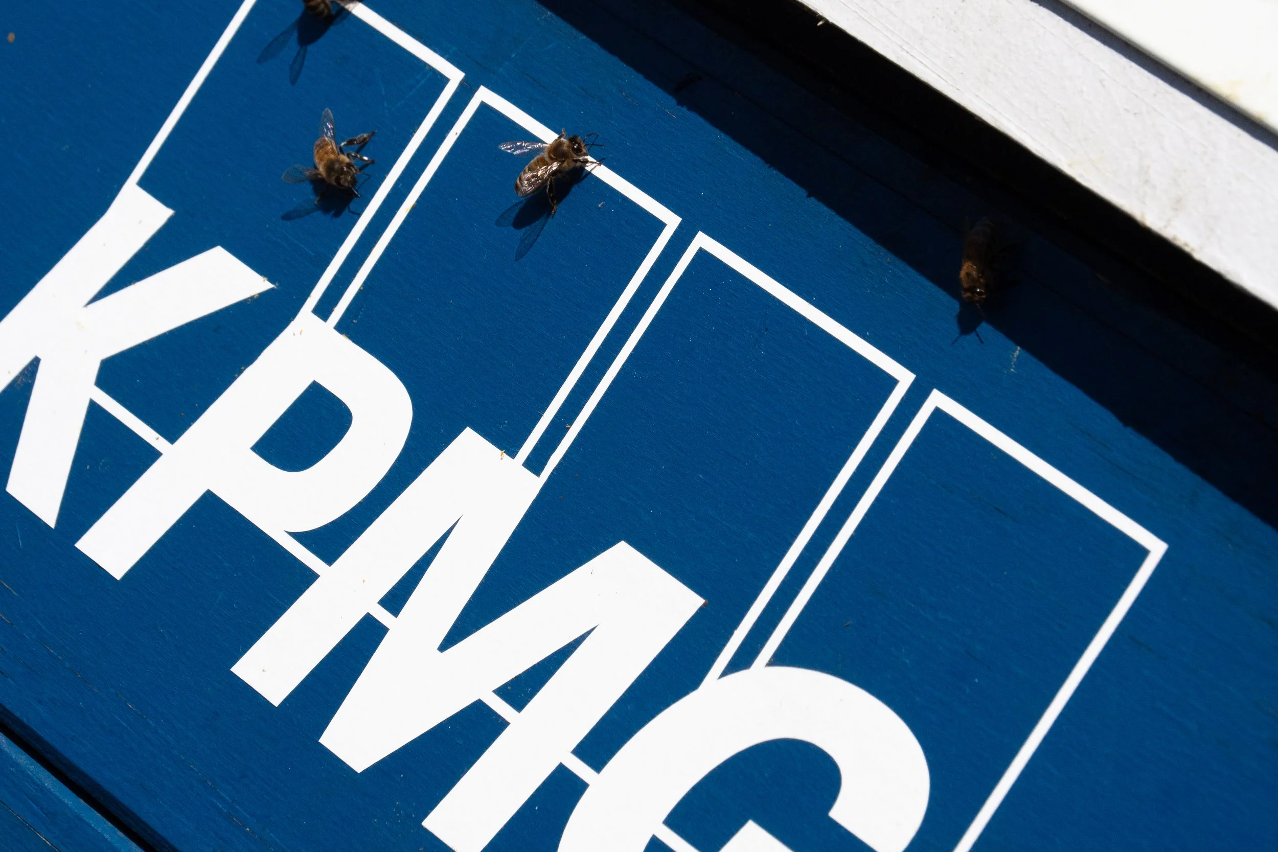 KPMG - 05.2026 - 01.jpg