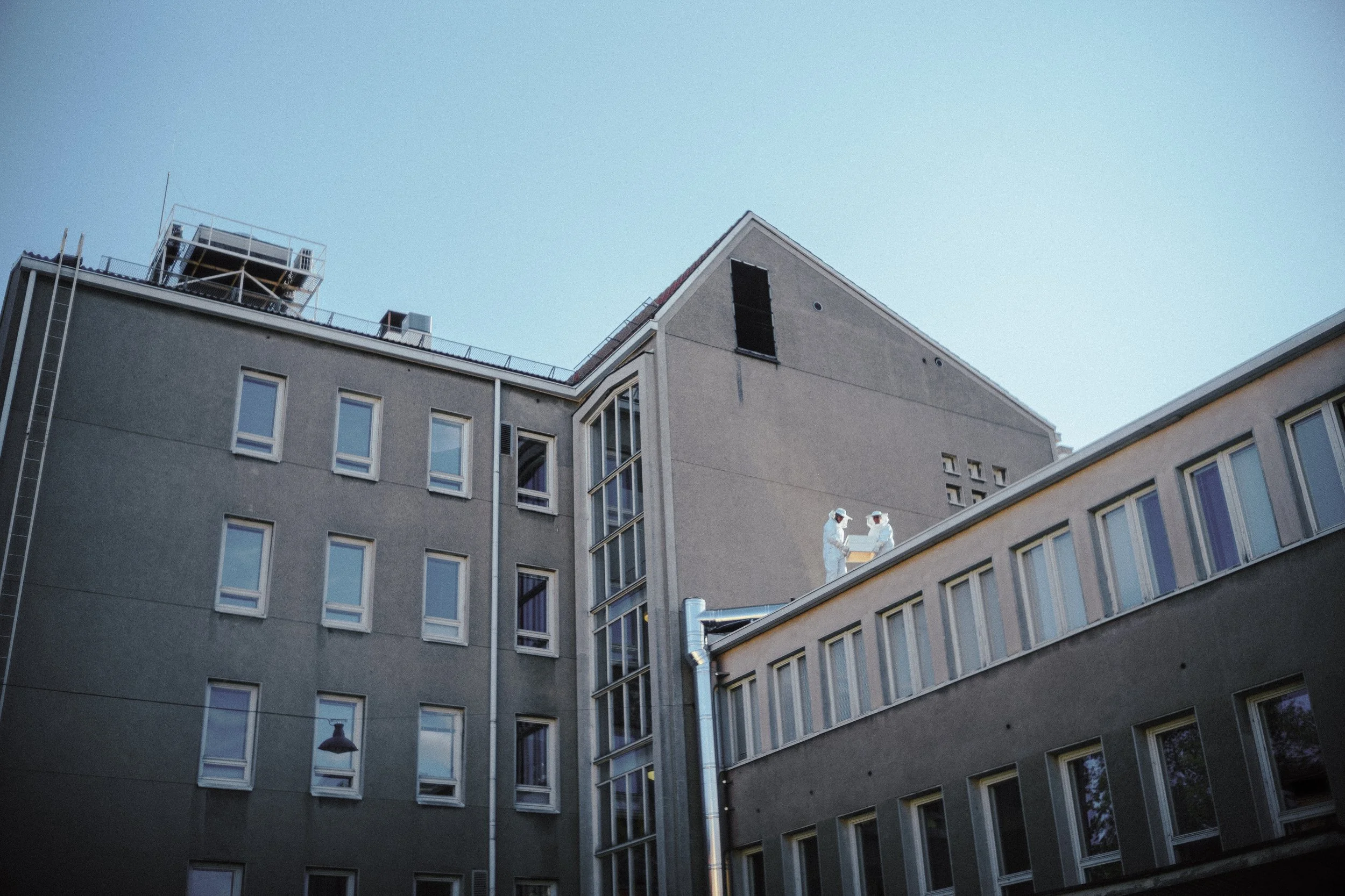 Two beekeepers in white protective suits and masks standing on a rooftop of a gray building, holding a hive.