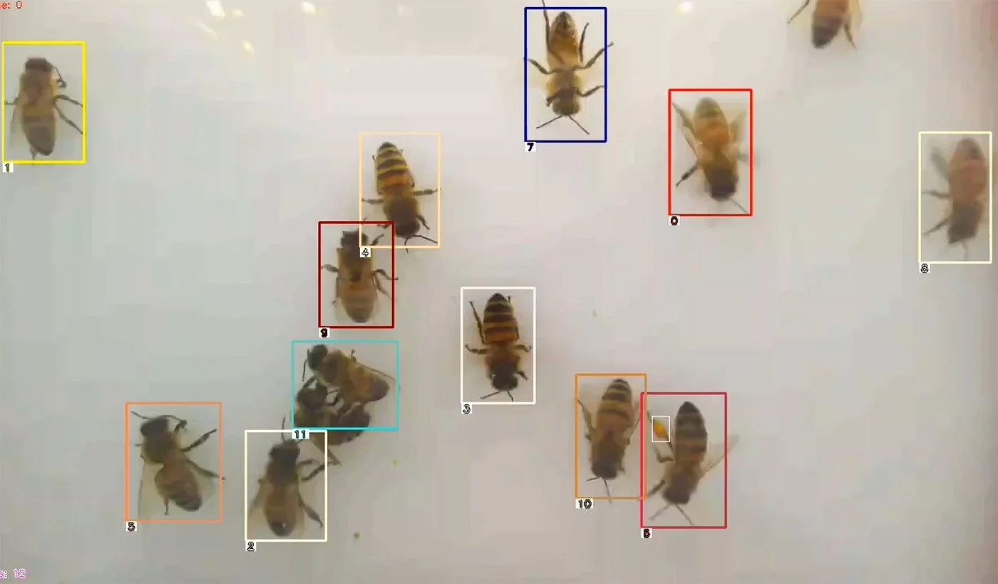 Sample Article Four