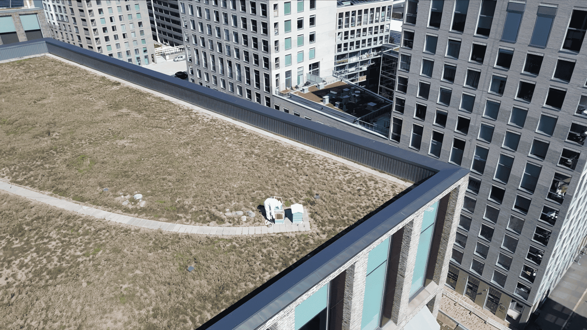 Drone shoot - Calvus - AI edited - compressed.png