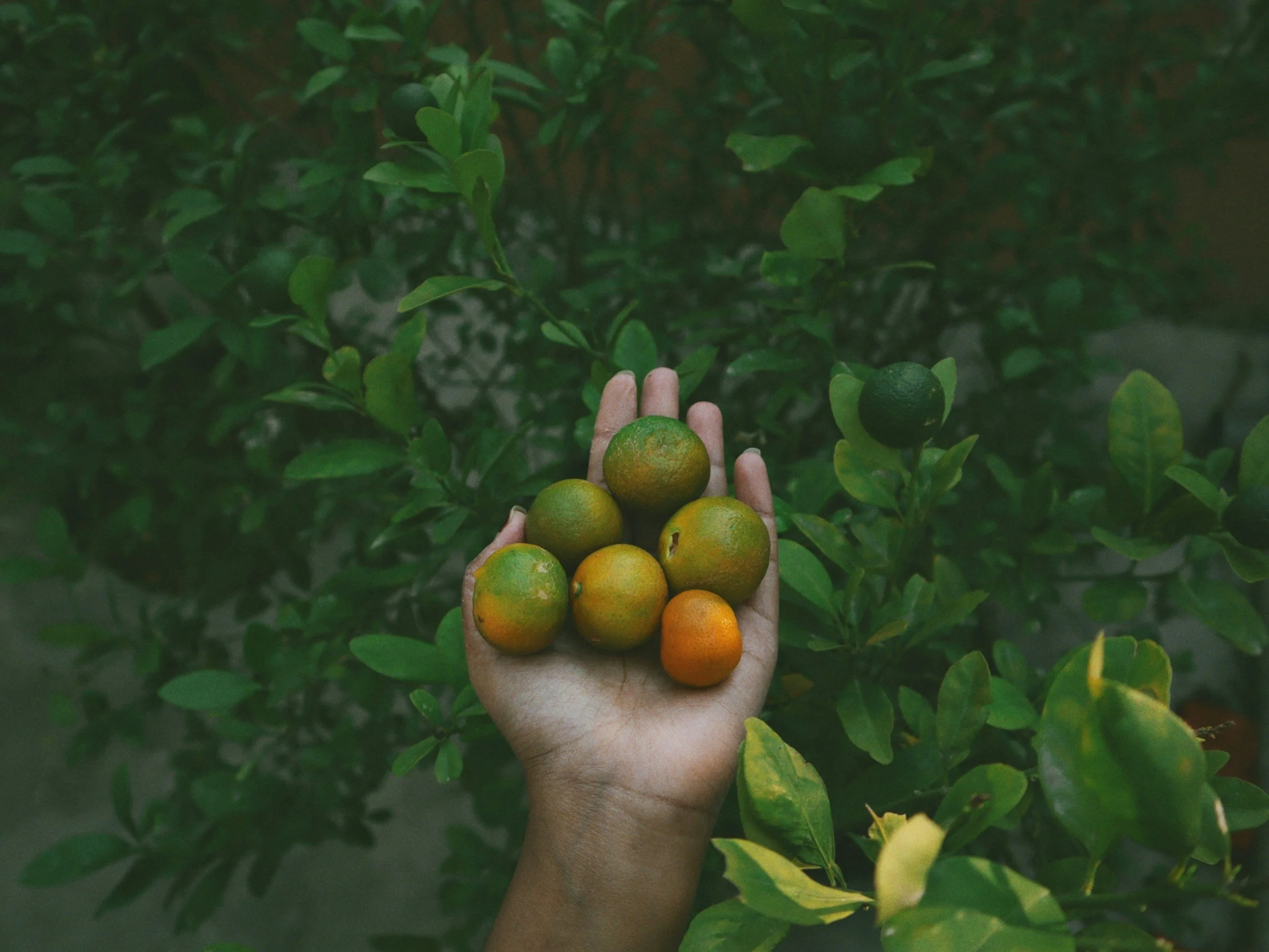 unsplash-image-GnrjSRj5UVU.jpg