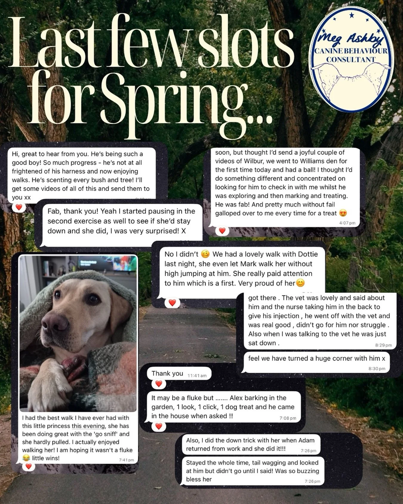 Last slots remaining for April/May before I have some time off!
These messages were from owners who previously felt stuck, had tried training before, were struggling with nervous, reactive, bitey dogs, and some who just wanted to improve their bond ❤