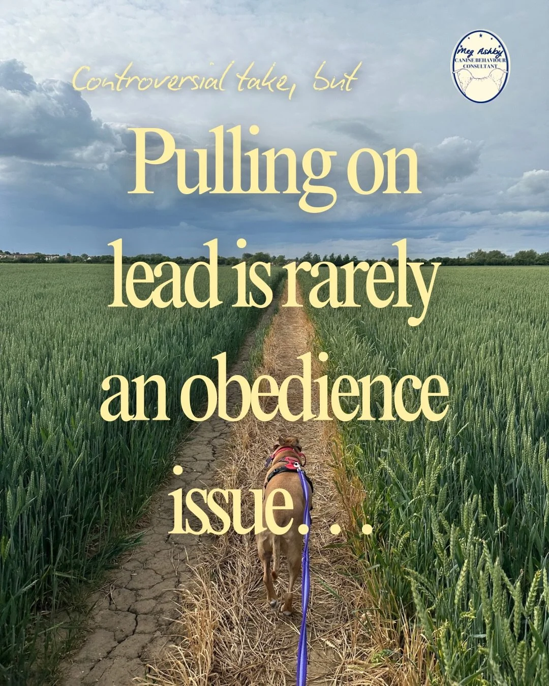 Controversial take but&hellip; your dog that&rsquo;s pulling on their lead is not a &lsquo;disobedient dog&rsquo; 🐕 

Dogs naturally walk faster than people, having a dog in a permanent heel on a street walk may be great for social media, as many pe
