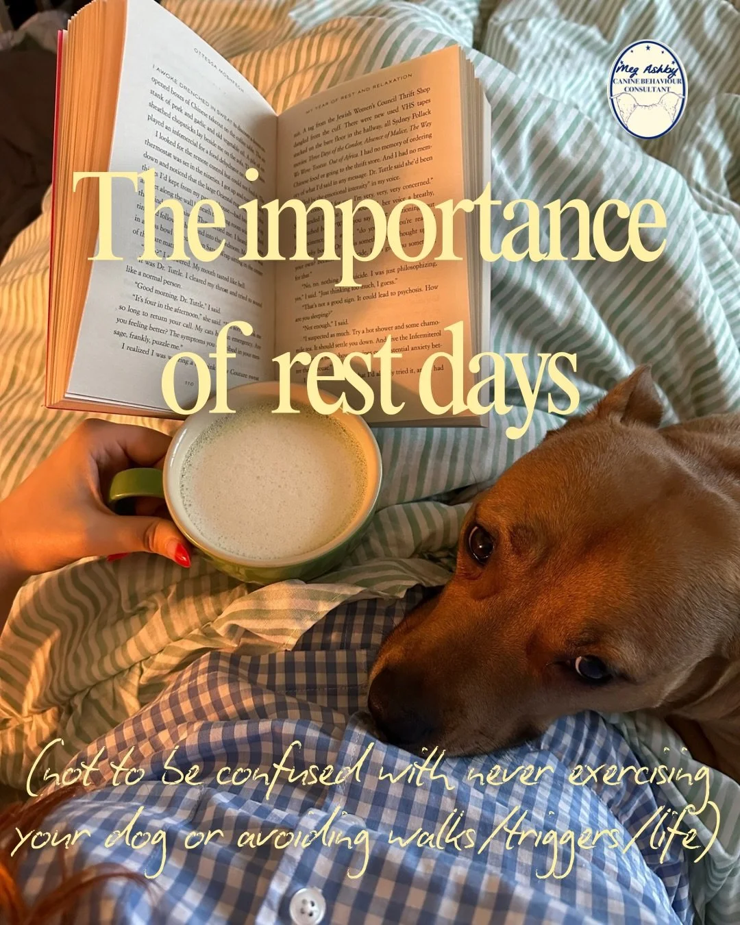 The importance of rest days (not to be confused with never exercising your dog or avoiding walks/triggers/life) 💤

If your behaviourist has ever told you to take a few days off to help your dog relax, it&rsquo;s for a reason. If your dog is reactive