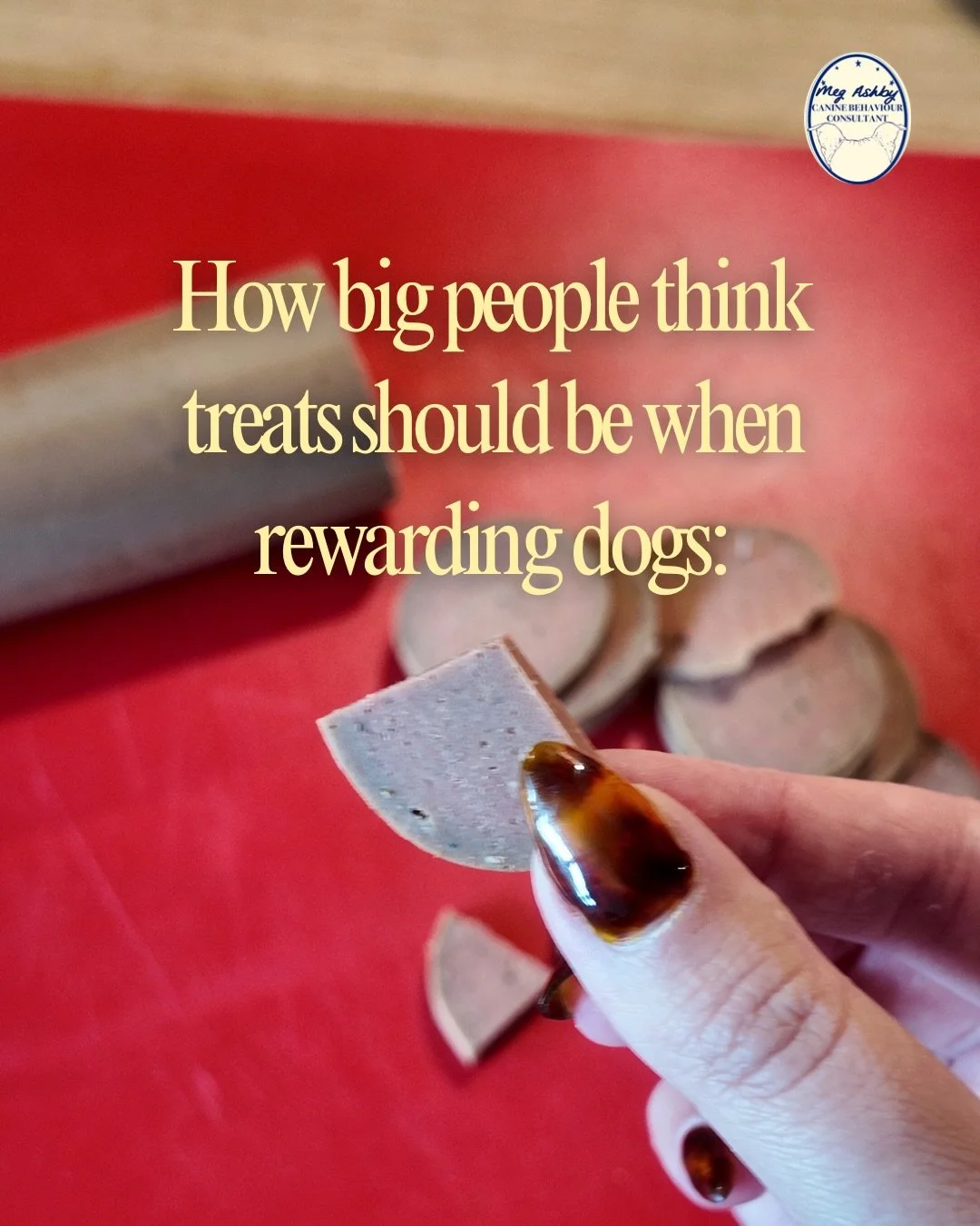 The size of treats most people think they should be feeding vs the actual size 🍪

Rewards based training doesn&rsquo;t/shouldn&rsquo;t make your dog overweight. You can chop a babybell into 50 pieces, a sausage of pate into thousands; they don&rsquo