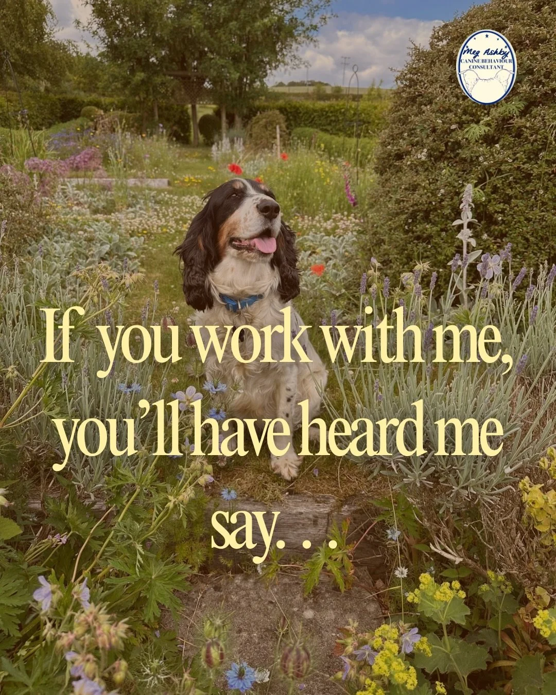 If you work with me, you&rsquo;ll have heard me say 🗣️ &hellip;

#dogtraining #dogbehaviour #dogtrainer #dogbehaviourist #ethicaldogtraining