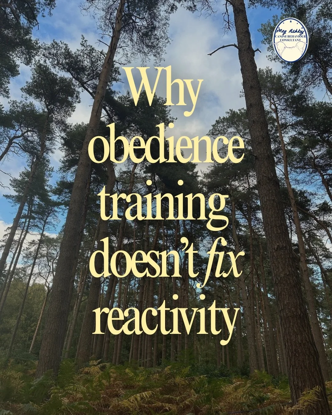 Why obedience training doesn&rsquo;t &ldquo;fix&rdquo; reactivity 🐕
First, let&rsquo;s get some definitions out of the way so we know what we&rsquo;re talking about. Obedience = the training of an animal, esp. a dog, to obey certain commands vs. Beh