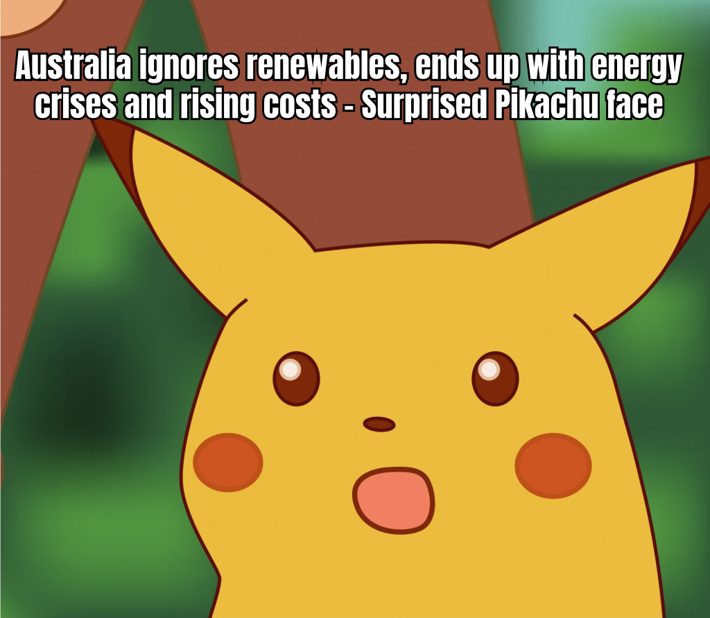 ISSUES_Avoid renewables in Australia is crazy_202504Fr_205823.png