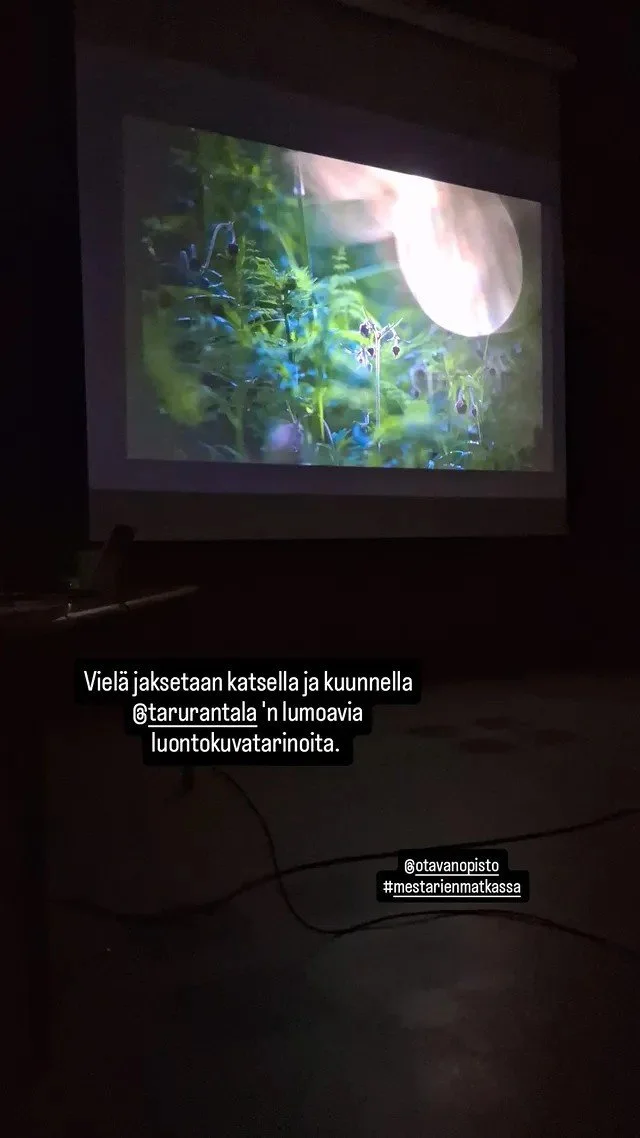 taru.jpeg