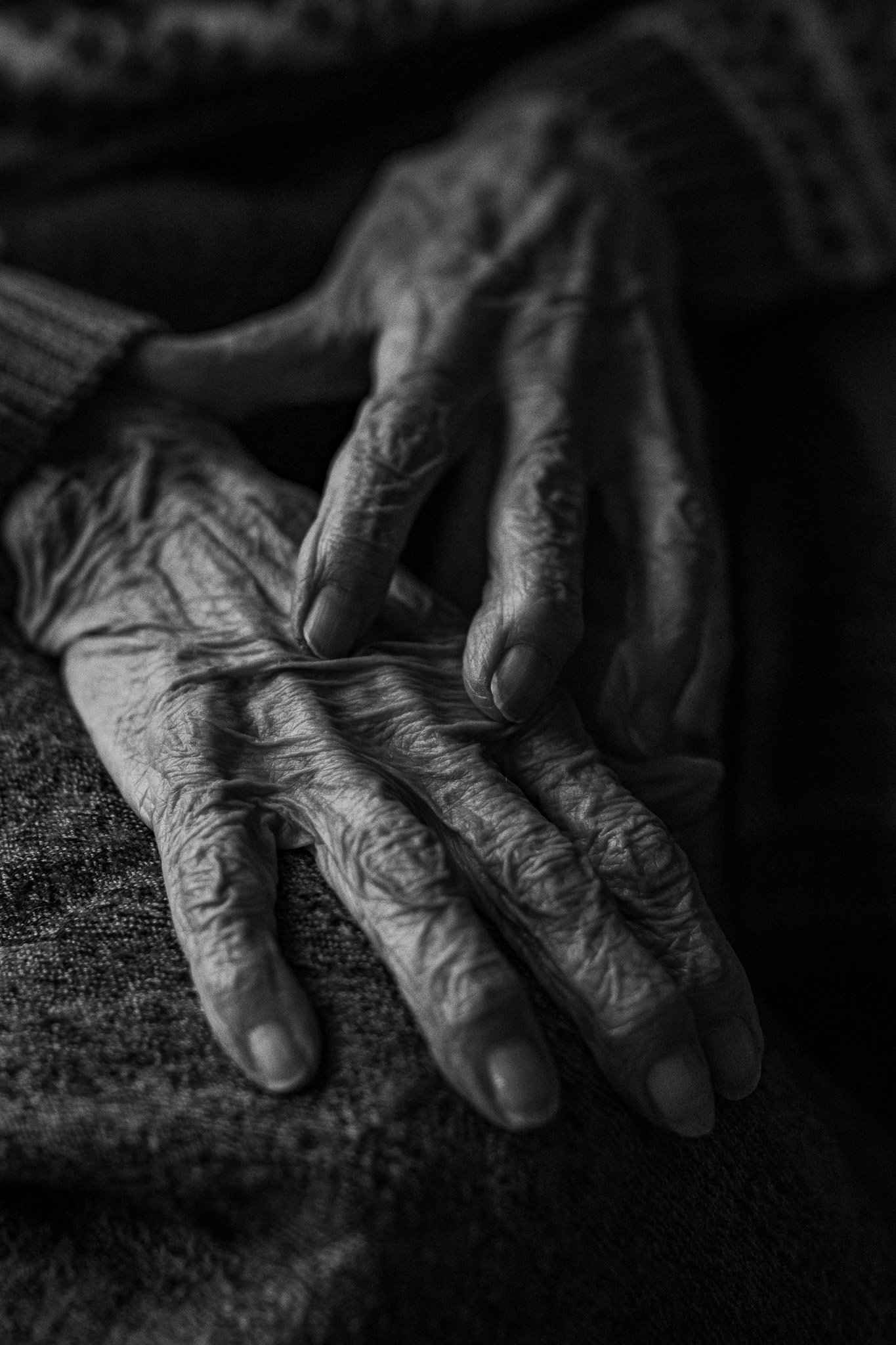 _IMG0441-2 Kopie.jpg