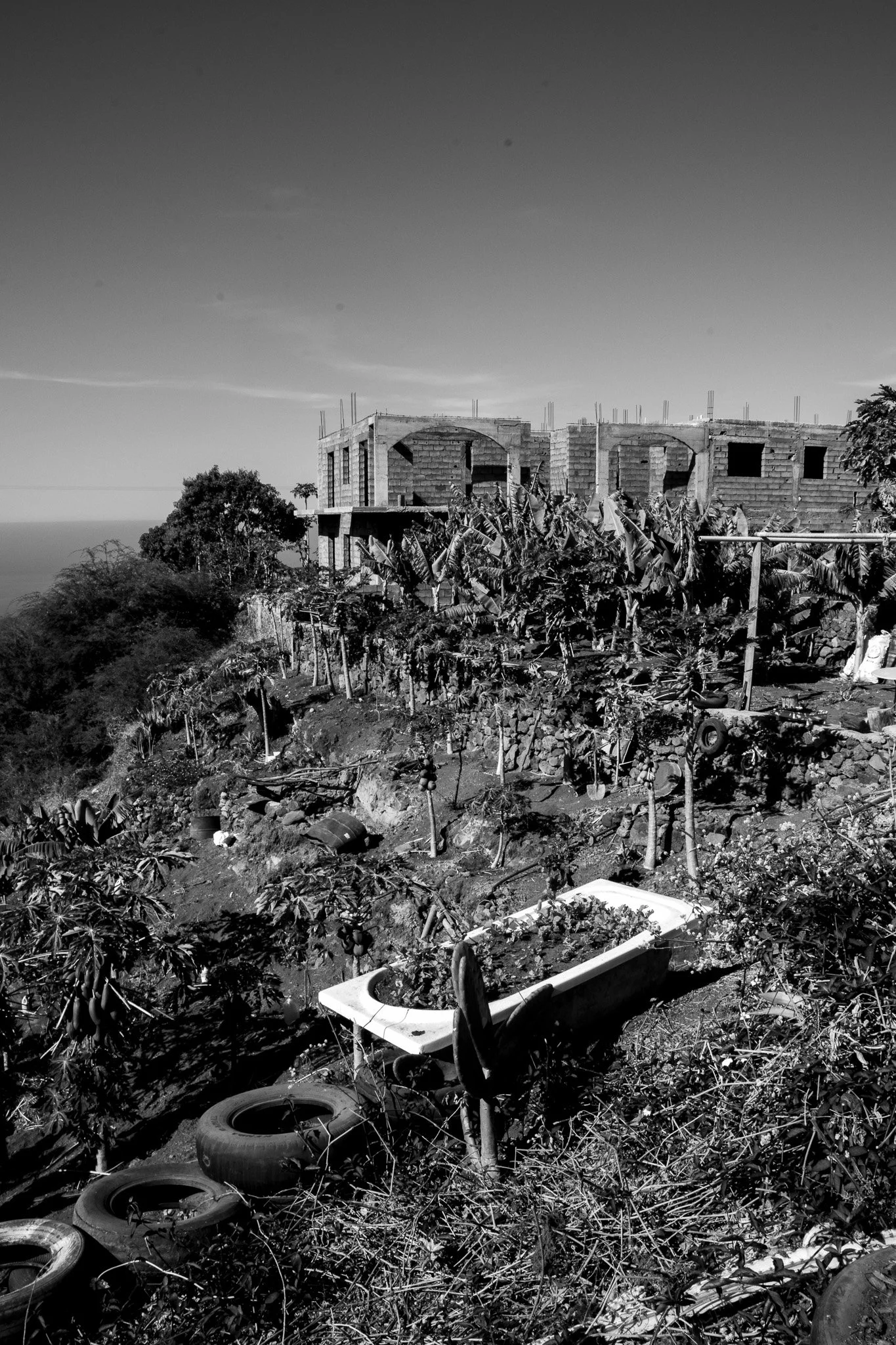 _IMG1738 22.44.38.jpg