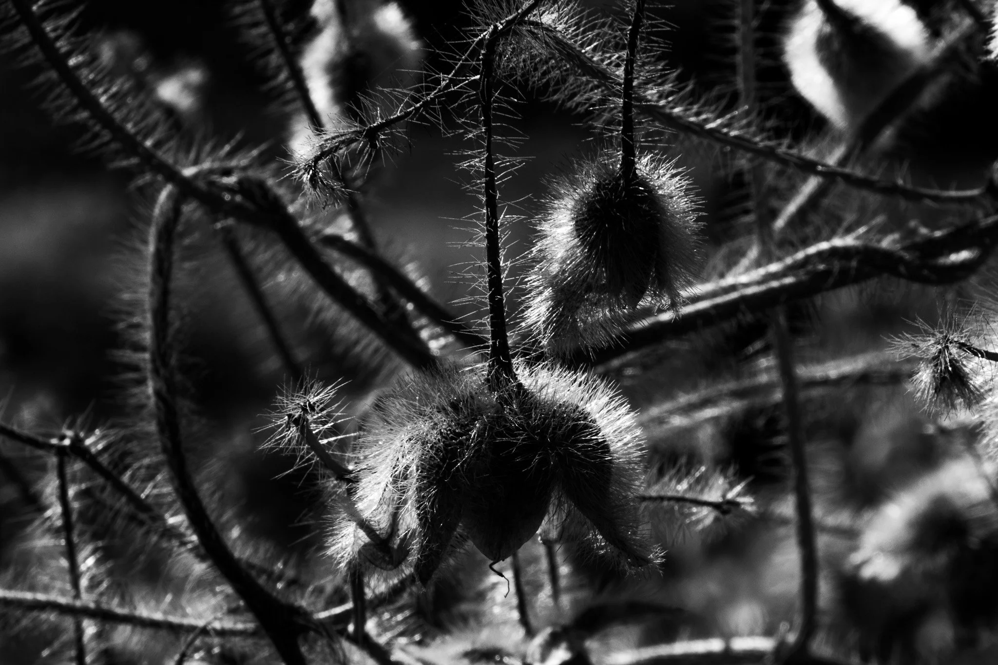 _IMG1739-2 22.44.38.jpg