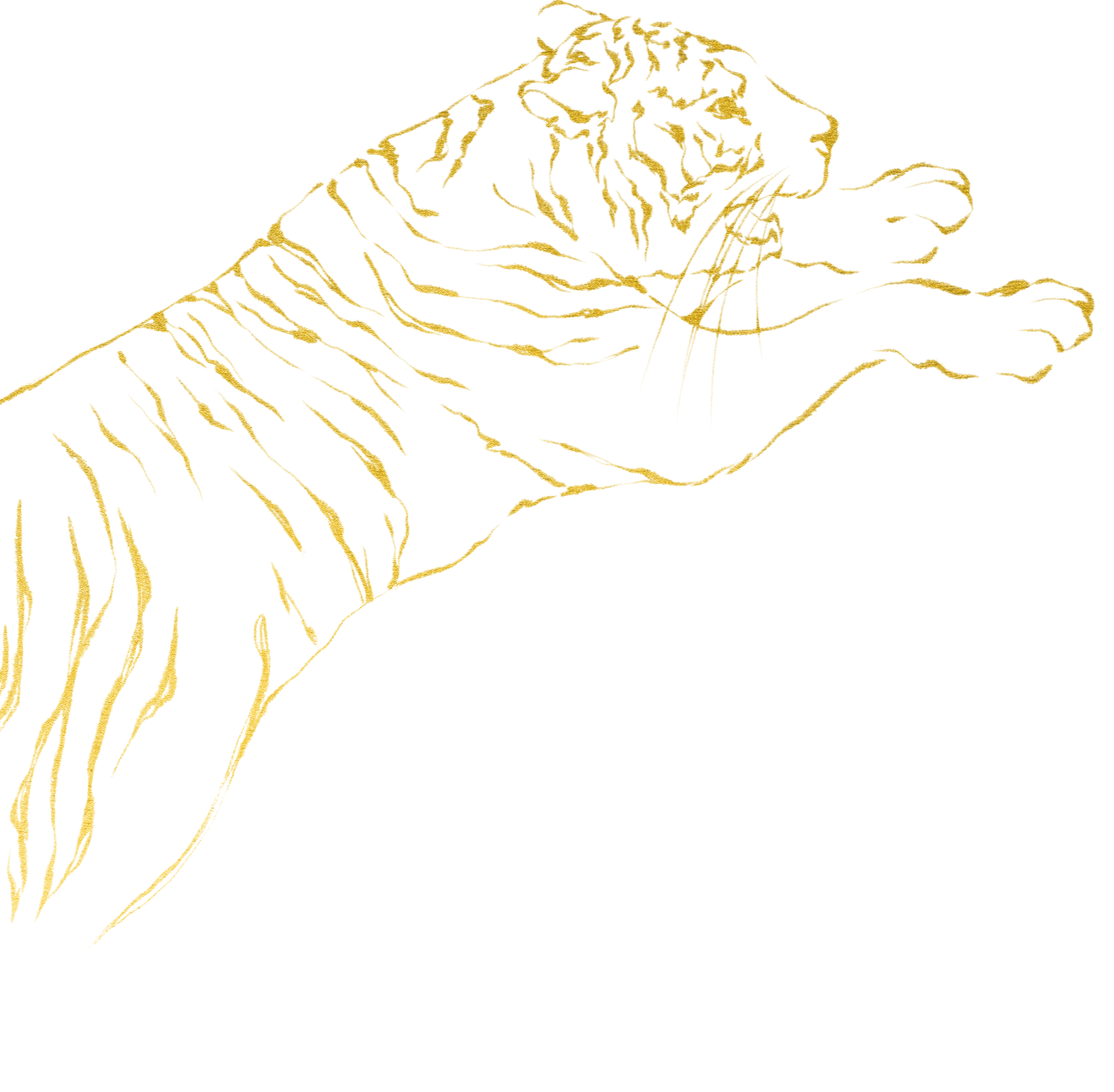 Keyvisual goldener Tiger