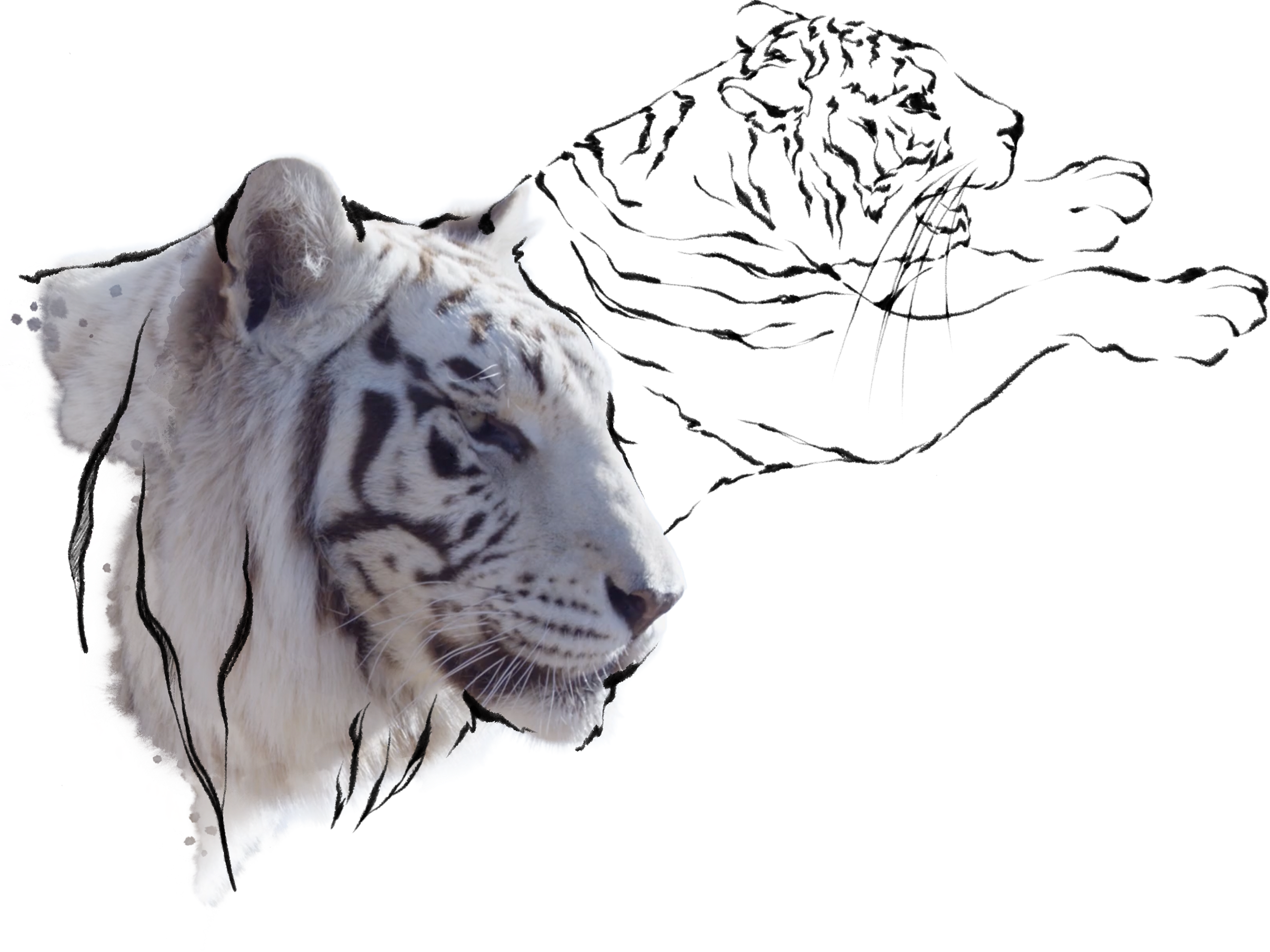 Keyvisual „ALIVE: EMBODIED NATURE - UNFAWN YOURSELF!“ (Modul 4)