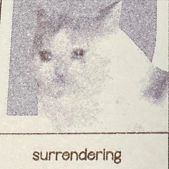 🫧