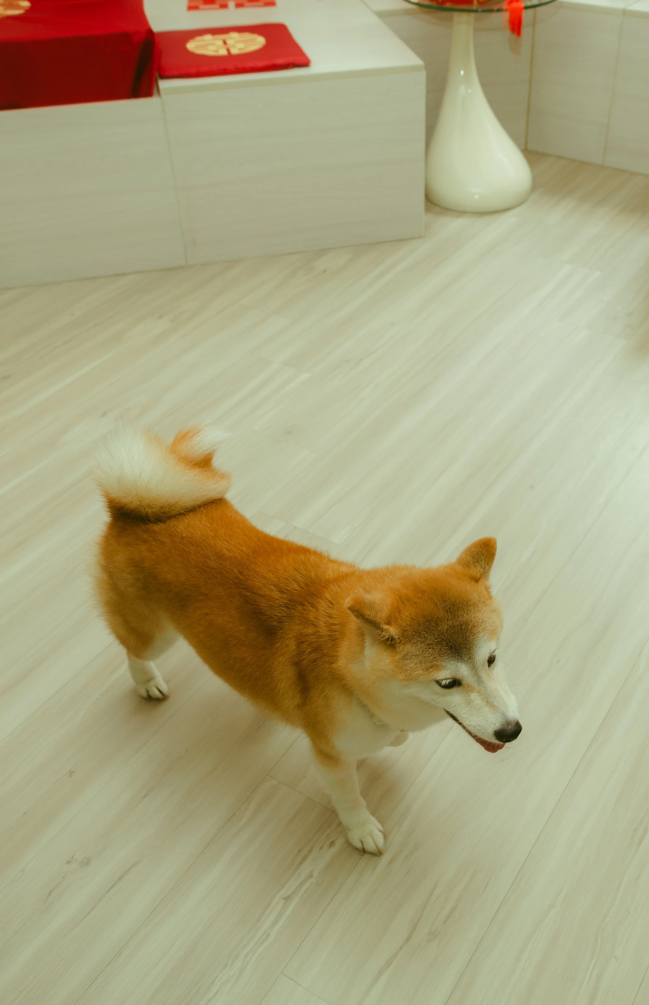 0E7A7173.jpg