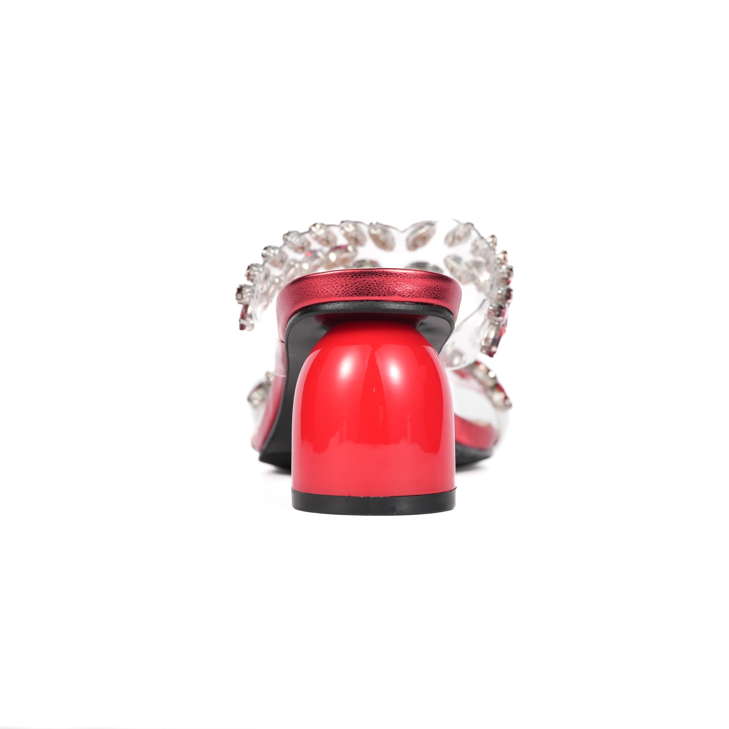 SEASTAR RED Back.jpg