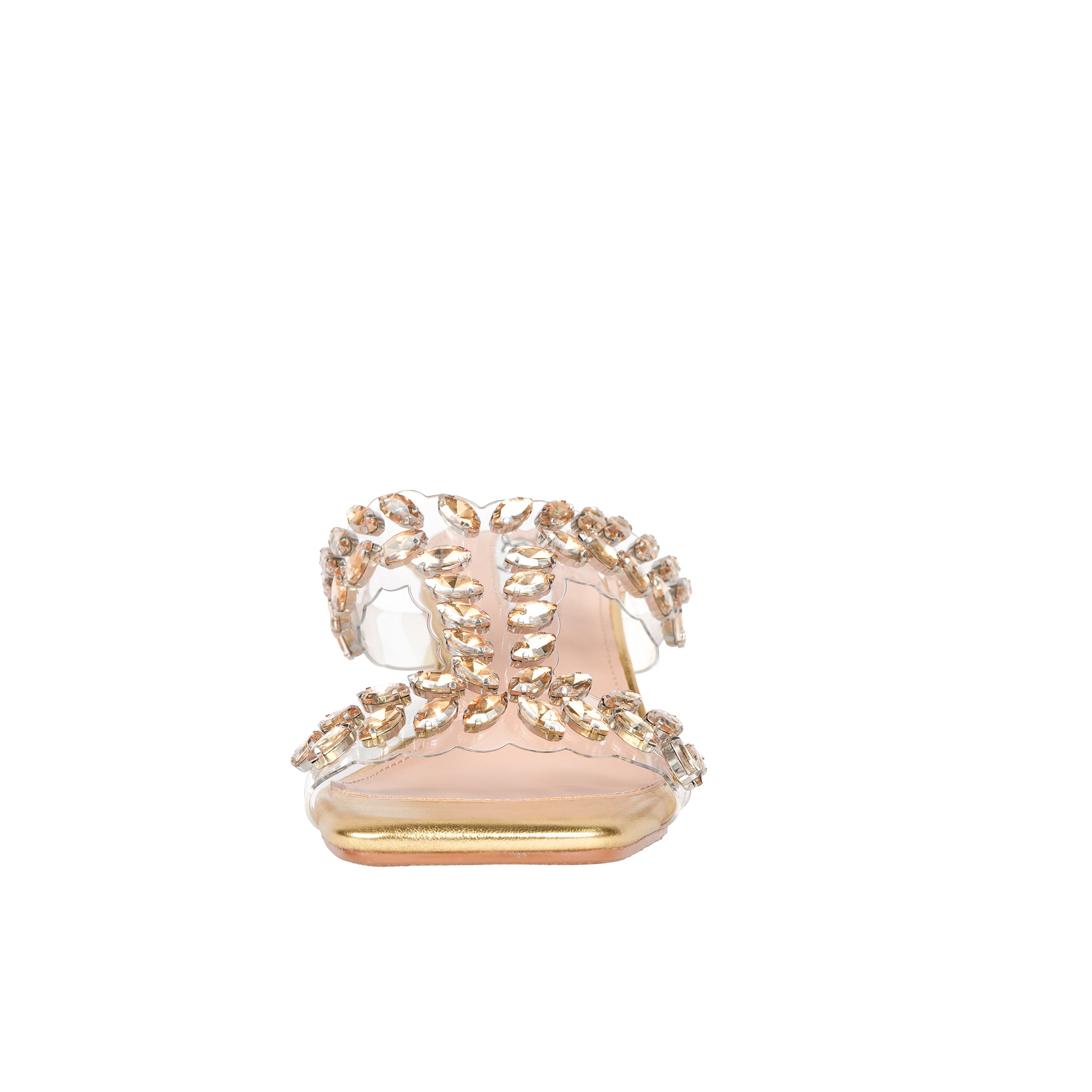 SEASTAR GOLD Front.jpg