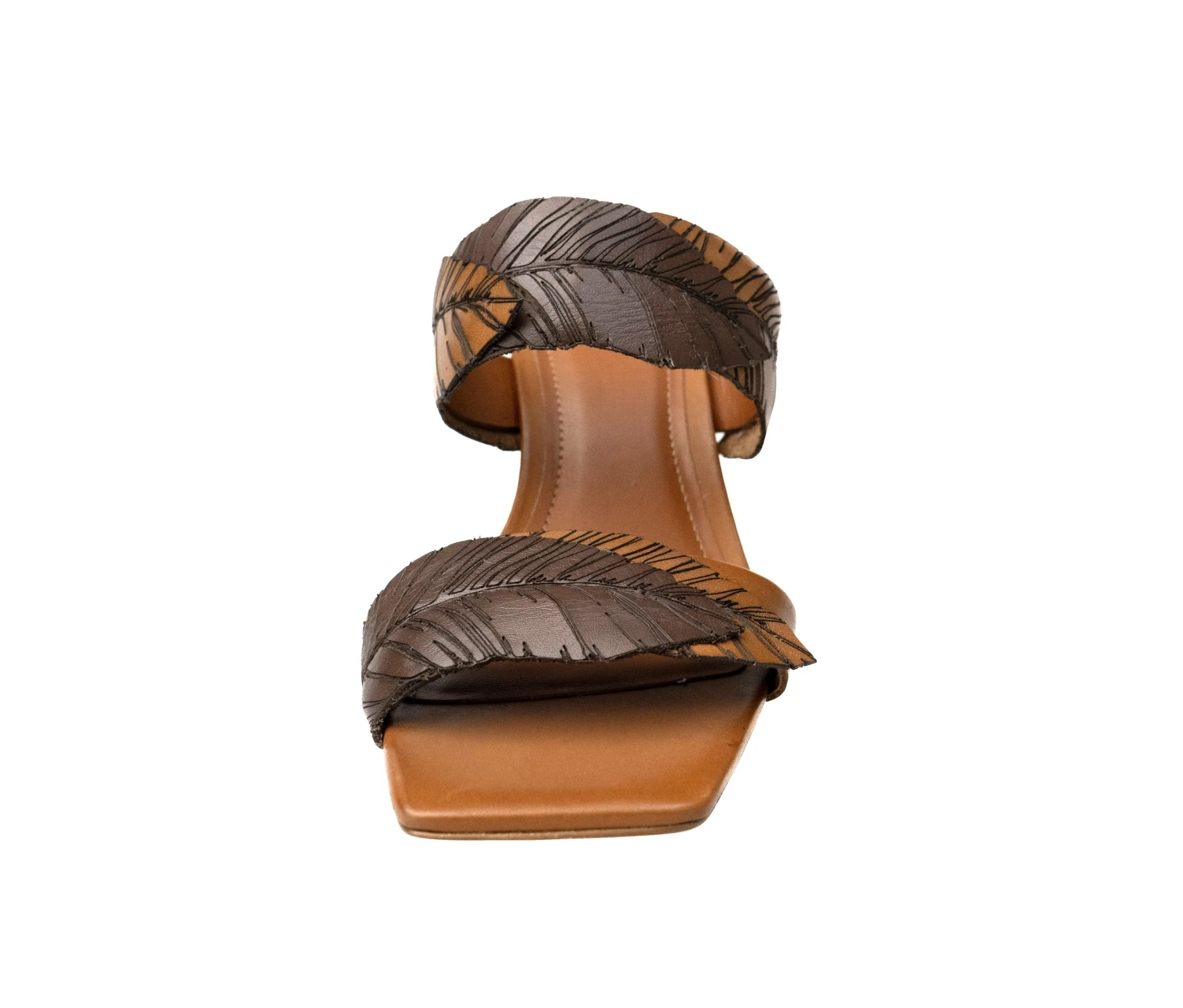 LINA BROWN Front.jpg