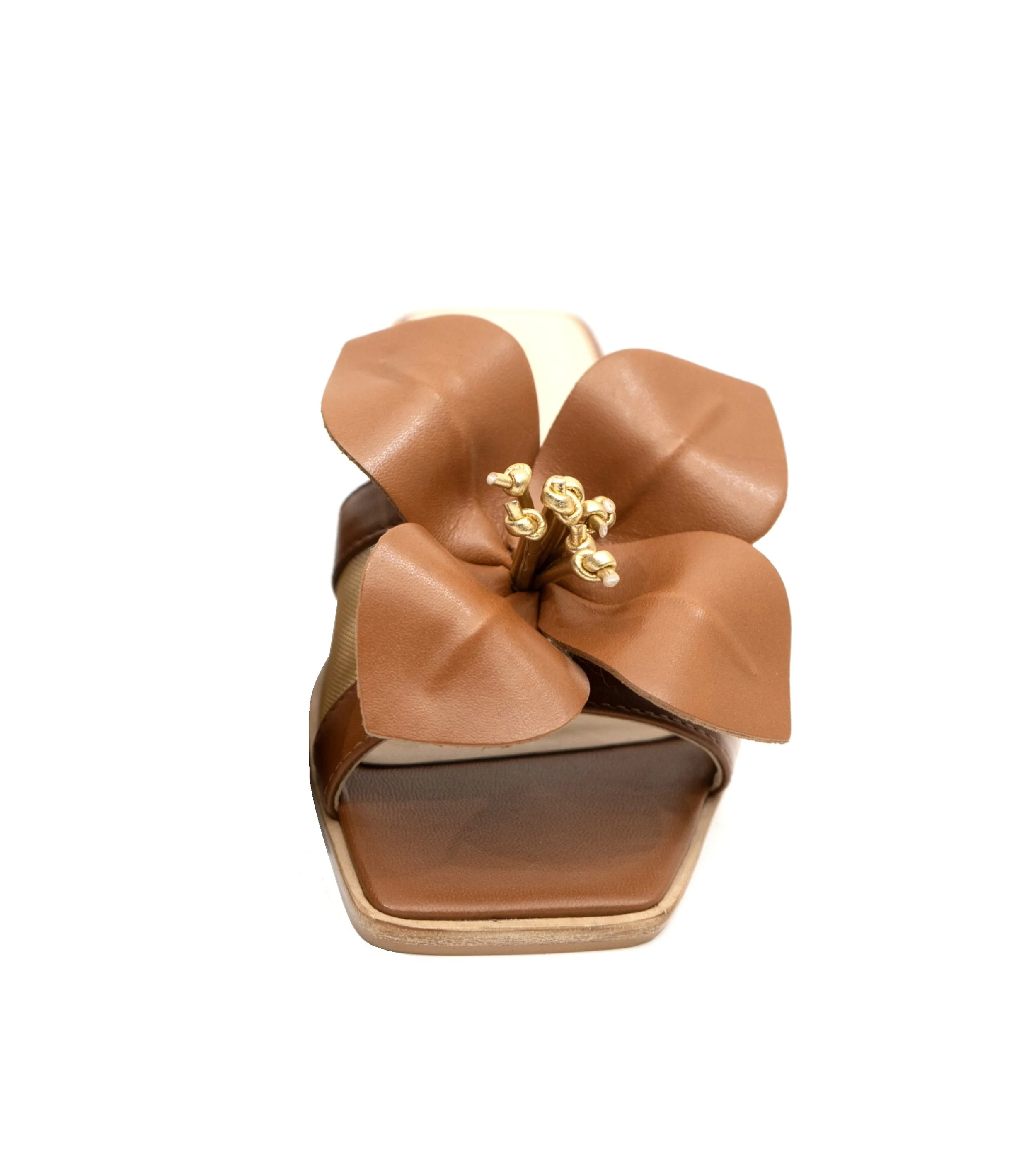 BLOSSOM BRWN Front.jpg