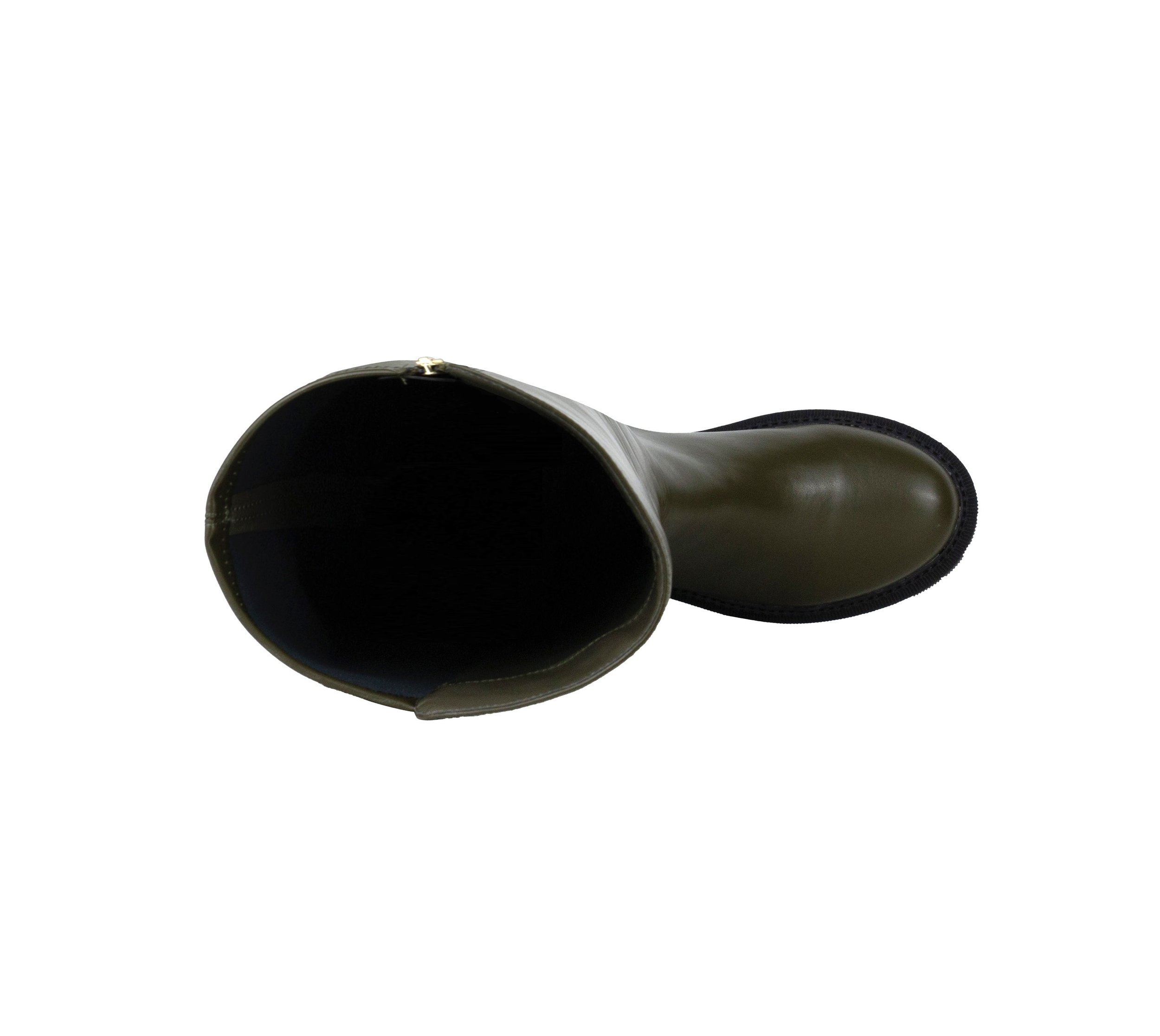FREEPORT OLIVE Top View.jpg