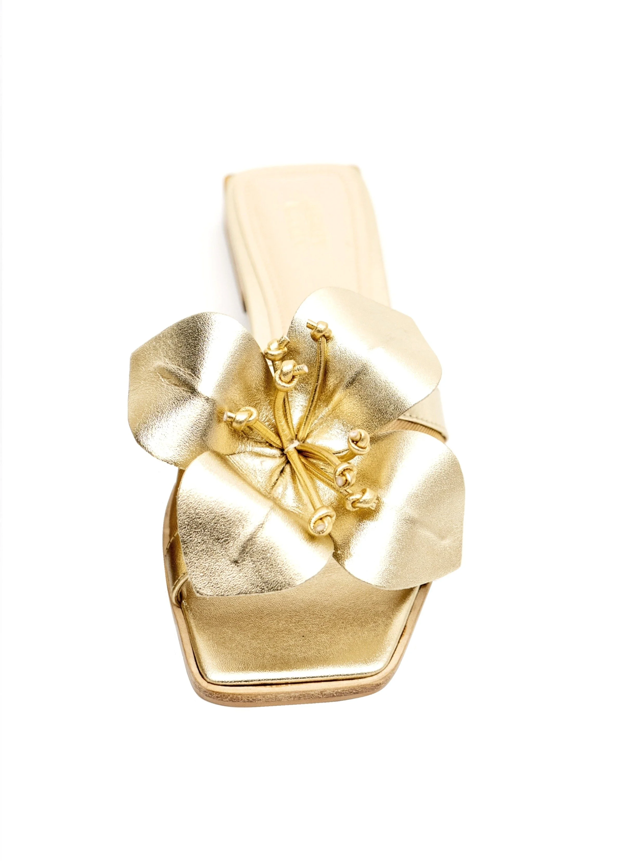 BLOSSOM GOLD Front.jpg