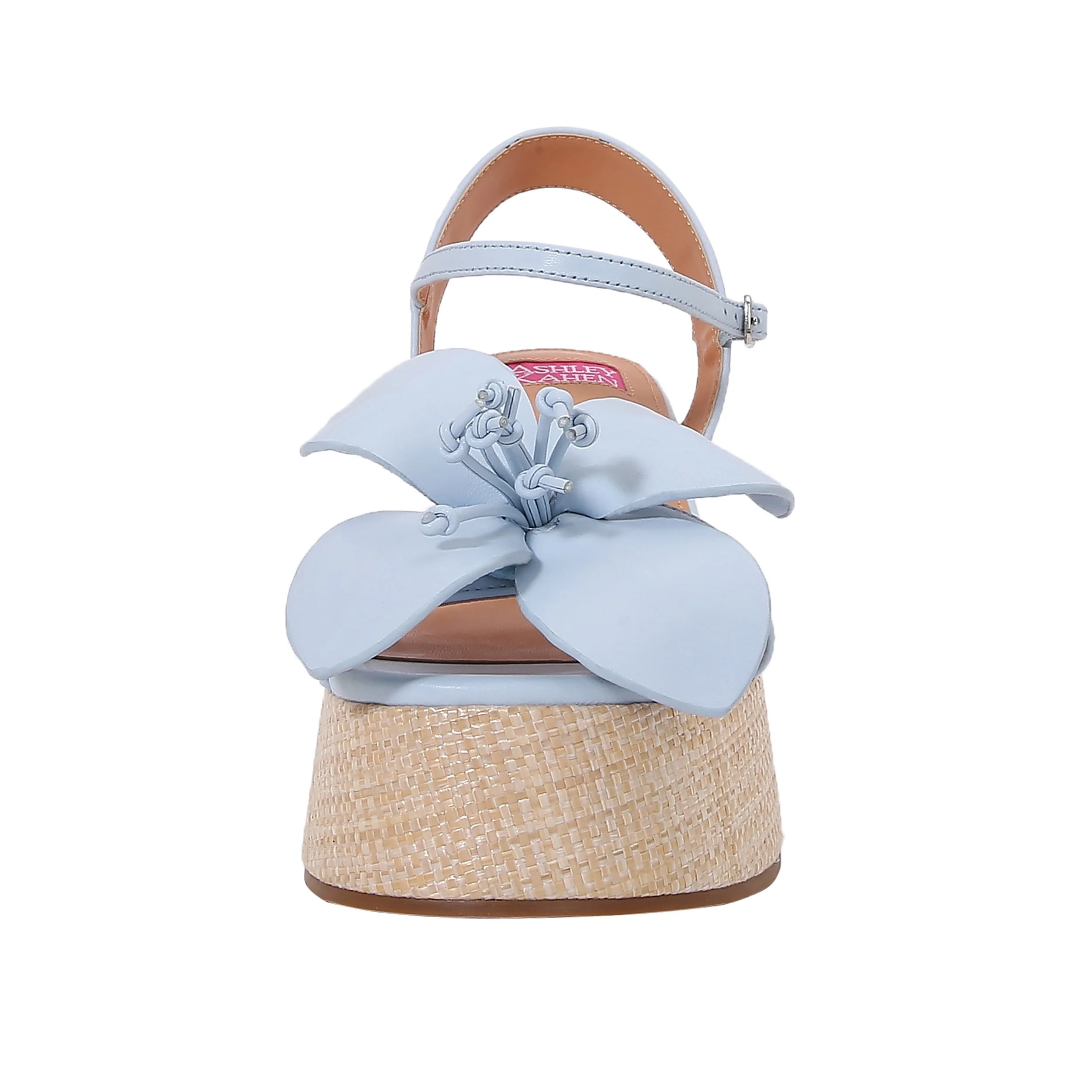 TULIP BLUE Front.JPG