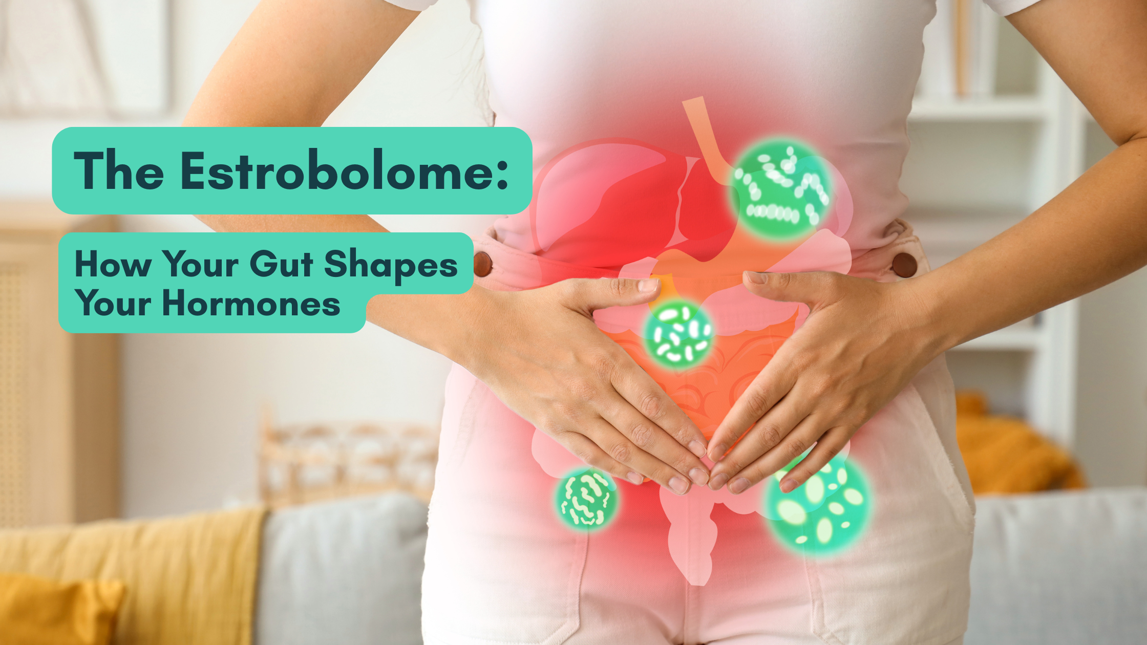 The Estrobolome: How Your Gut Shapes Your Hormones
