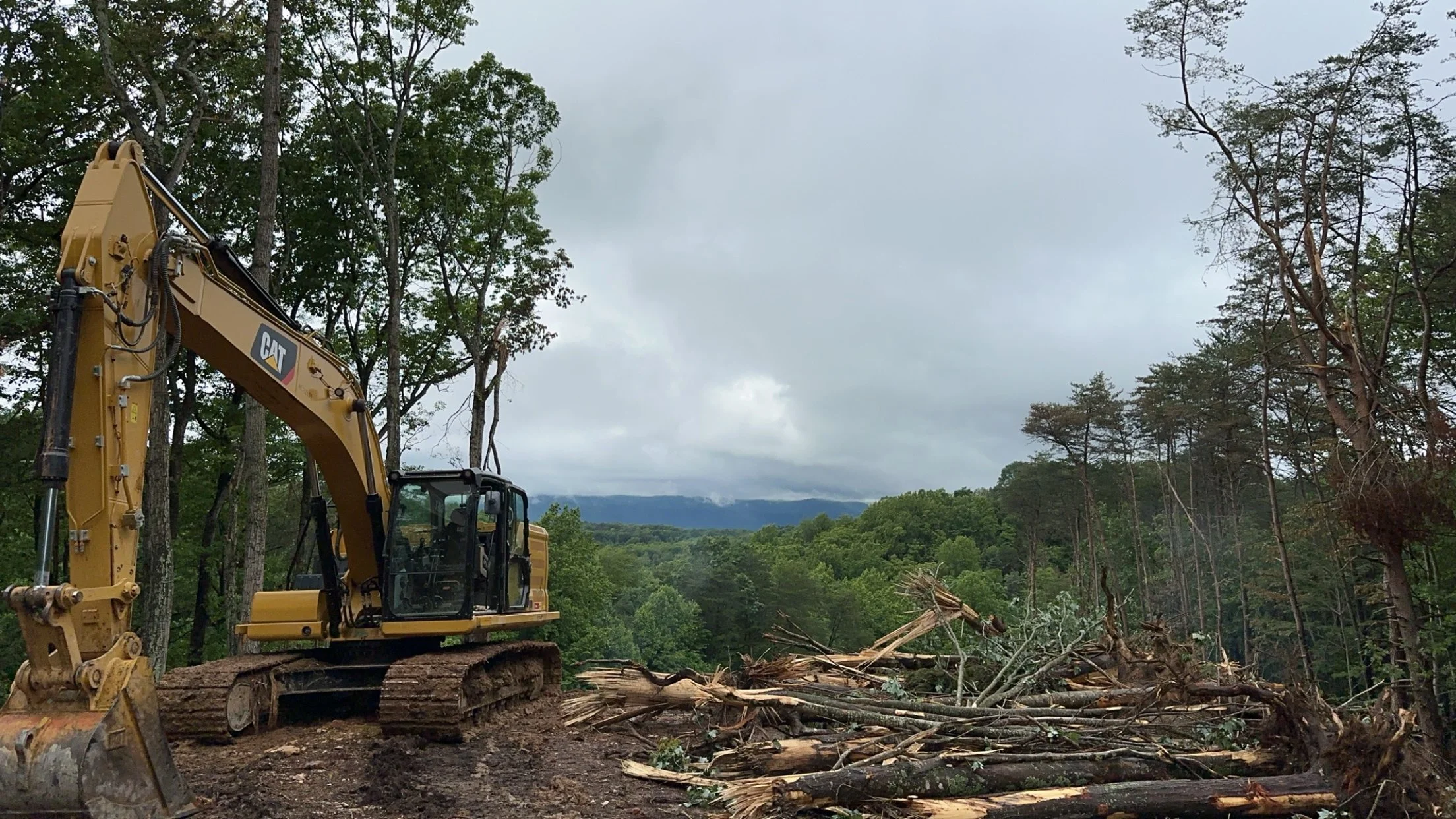 A yellow Caterpillar excavator working on a forested area with fallen trees, under a cloudy sky.