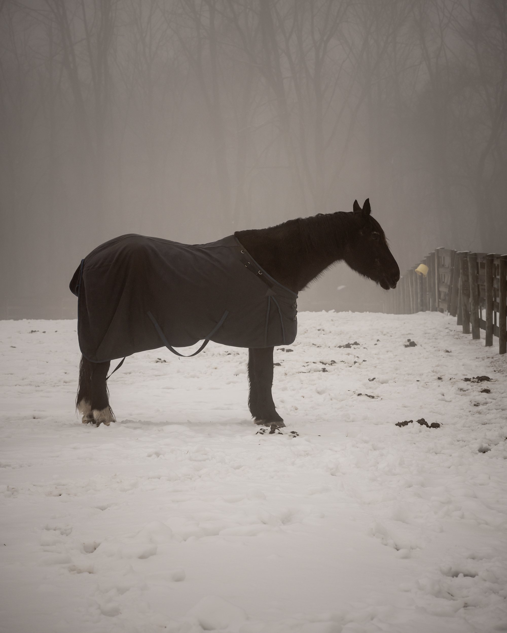 Belden_Mohawk+Winter_FotoDiary-38.jpg
