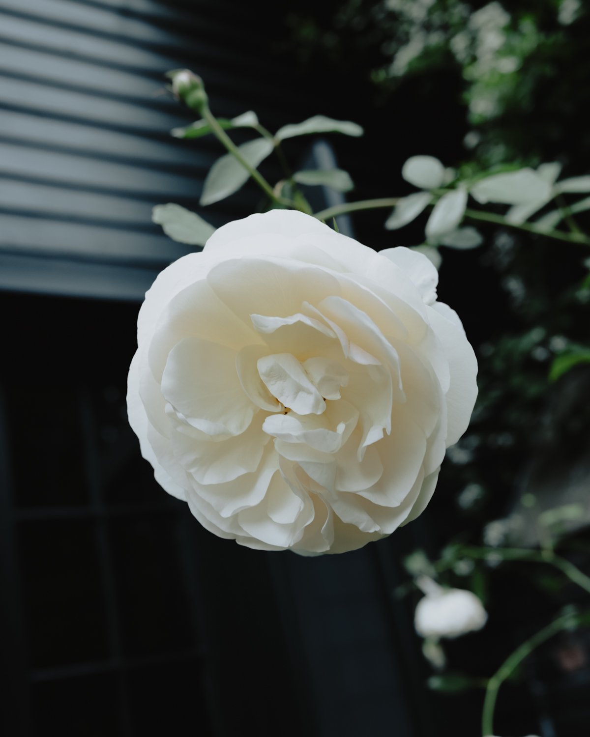 ZA231756.jpg