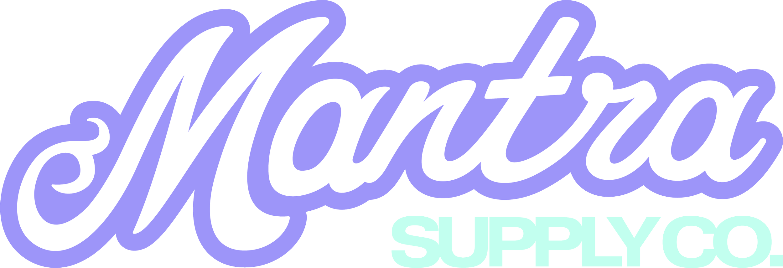 The logo for Montauk Supply Co. in cursive purple and mint green lettering.