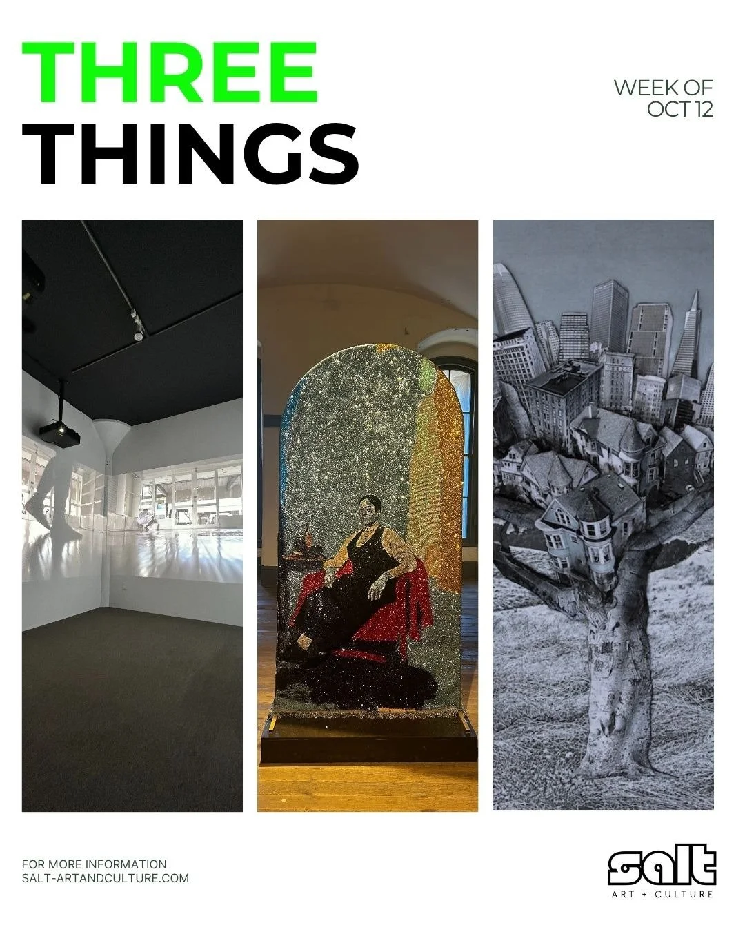 THREE THINGS: Week of 10.12.25

ONE: Still Life, After Life: Women Disrupting Tradition in Art and Music at Catherine Clark Gallery

TWO: Black Gold: Stories Untold Final Weekend at Fort Point

THREE: Art is Light at the Drawing Room Annex

#threethi