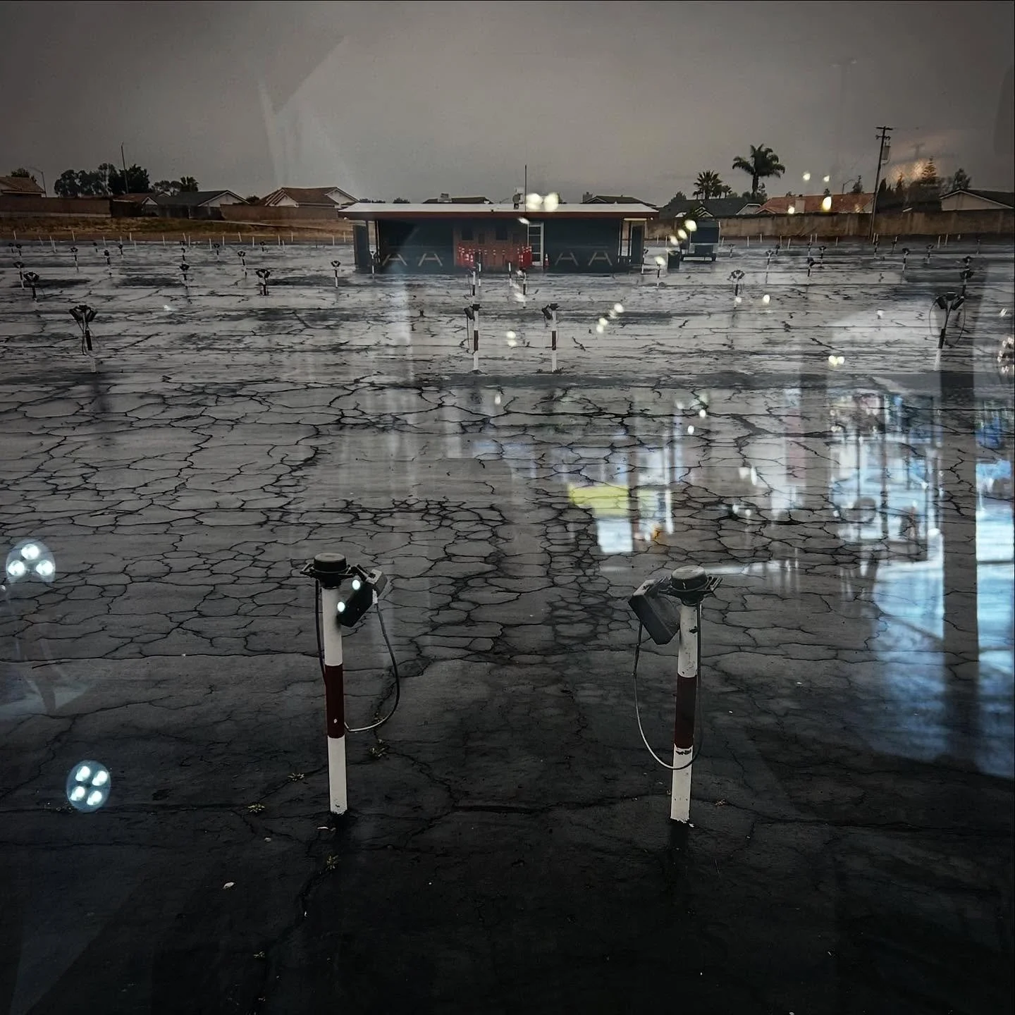 A few favorite from today&rsquo;s scroll down Valencia St #sfart #sfartist #sfartists