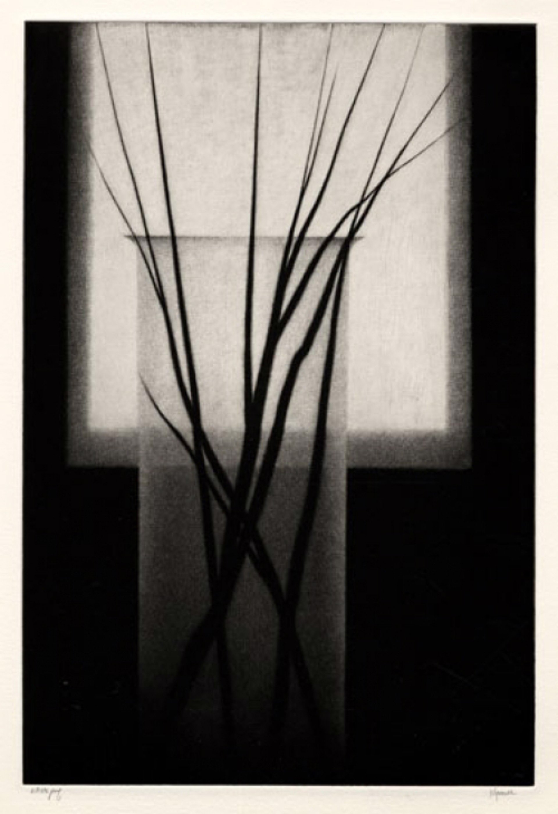 Reveries