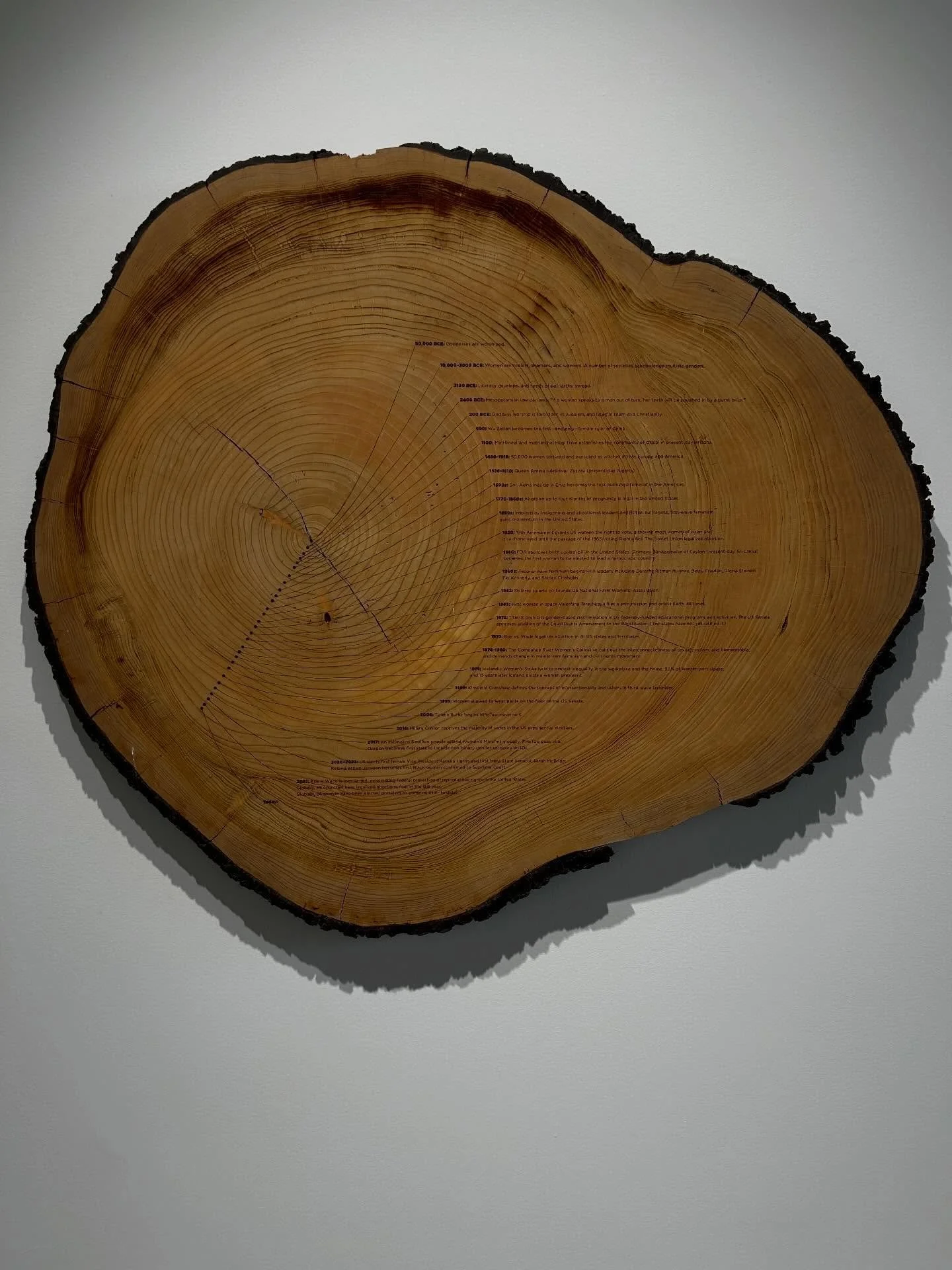 Ancient Wisdom for a Future Ecology: Trees, Time and Technology at di Rosa SF #trees #sfart