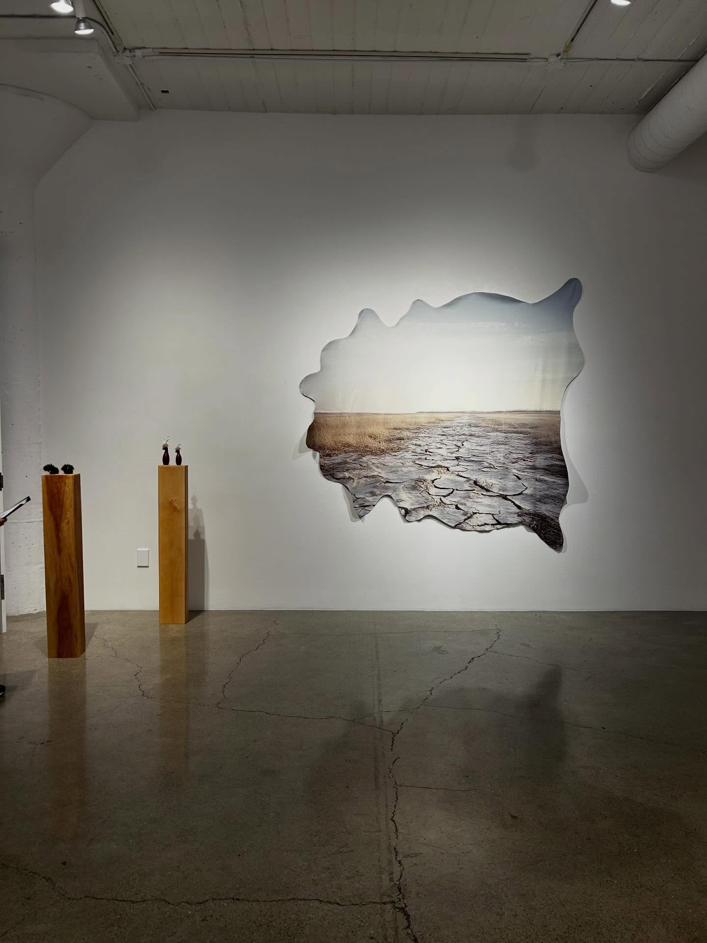 Run Fast, Bite Hard #sfart #animals #painting #drawing #sculpture